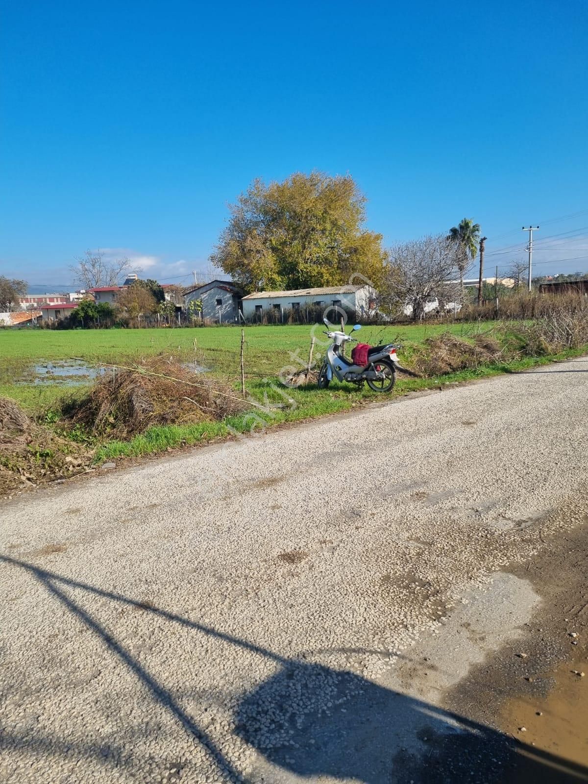 Aydın Ortaklar'da Köy İçi Tektapu Satılık - Görsel 9