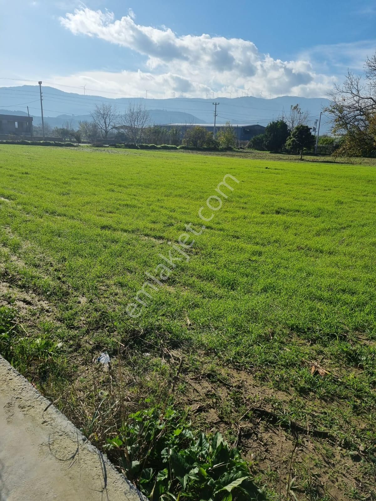 Aydın Ortaklar'da Köy İçi Tektapu Satılık - Görsel 7