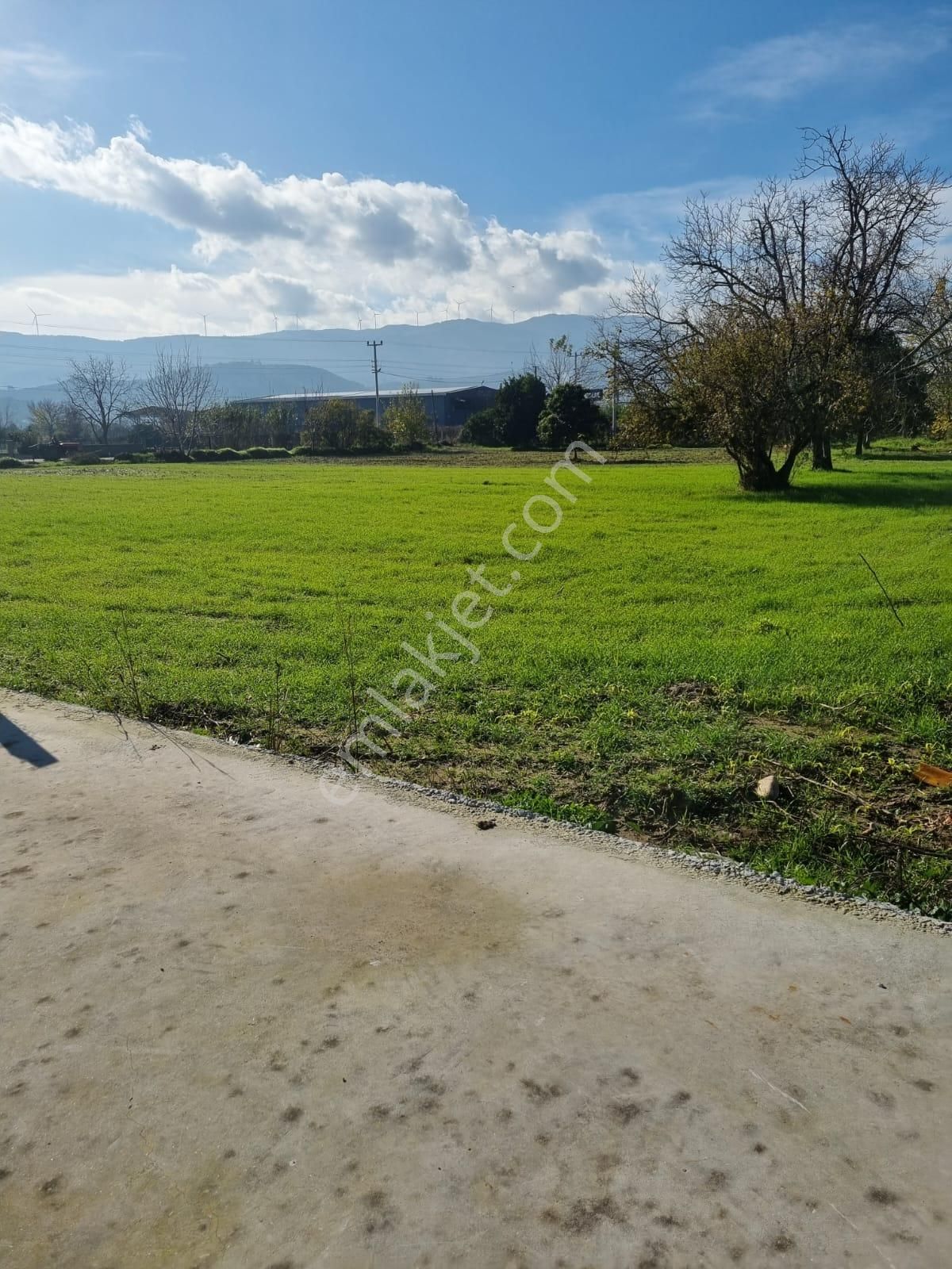 Aydın Ortaklar'da Köy İçi Tektapu Satılık - Görsel 3