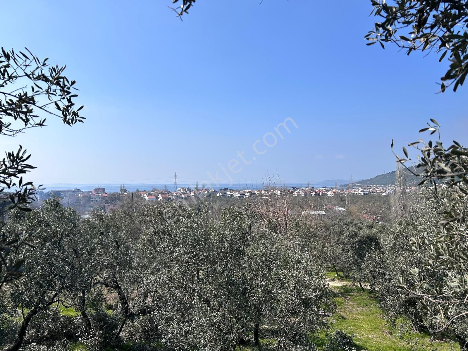 🟨⬛lıon Emlak'tan Erdek Ocaklar'da Yatırımlık Deniz Manzaralı 12.786m² Satılık Zeytinlik⬛🟨 - Görsel 2