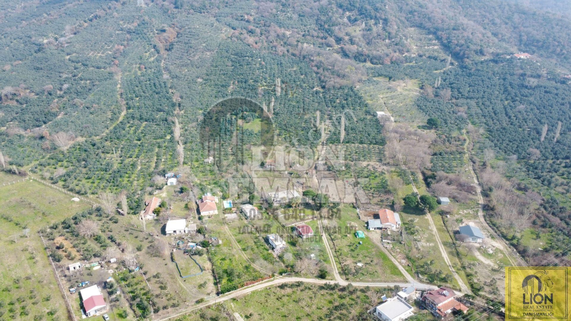🟨⬛lıon Emlak'tan Erdek Ocaklar'da Yatırımlık Deniz Manzaralı 12.786m² Satılık Zeytinlik⬛🟨 - Görsel 13