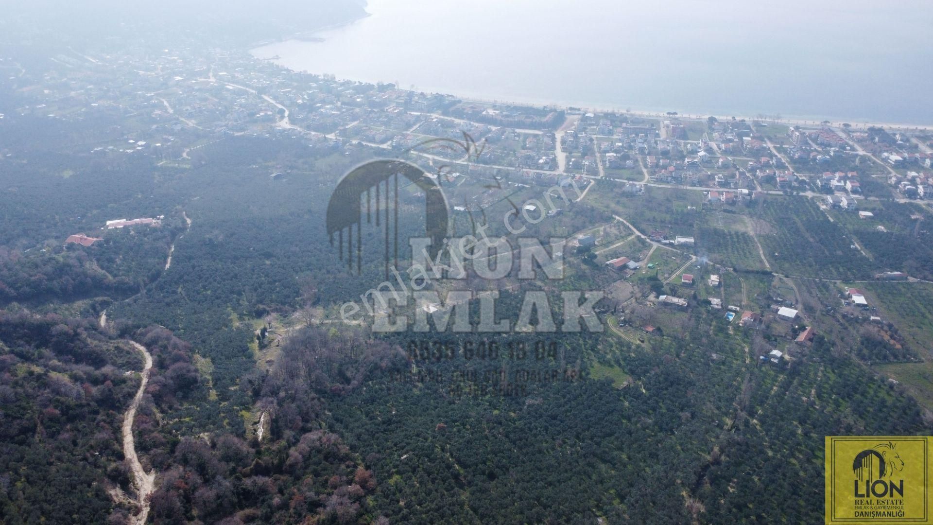 🟨⬛lıon Emlak'tan Erdek Ocaklar'da Yatırımlık Deniz Manzaralı 12.786m² Satılık Zeytinlik⬛🟨 - Görsel 19