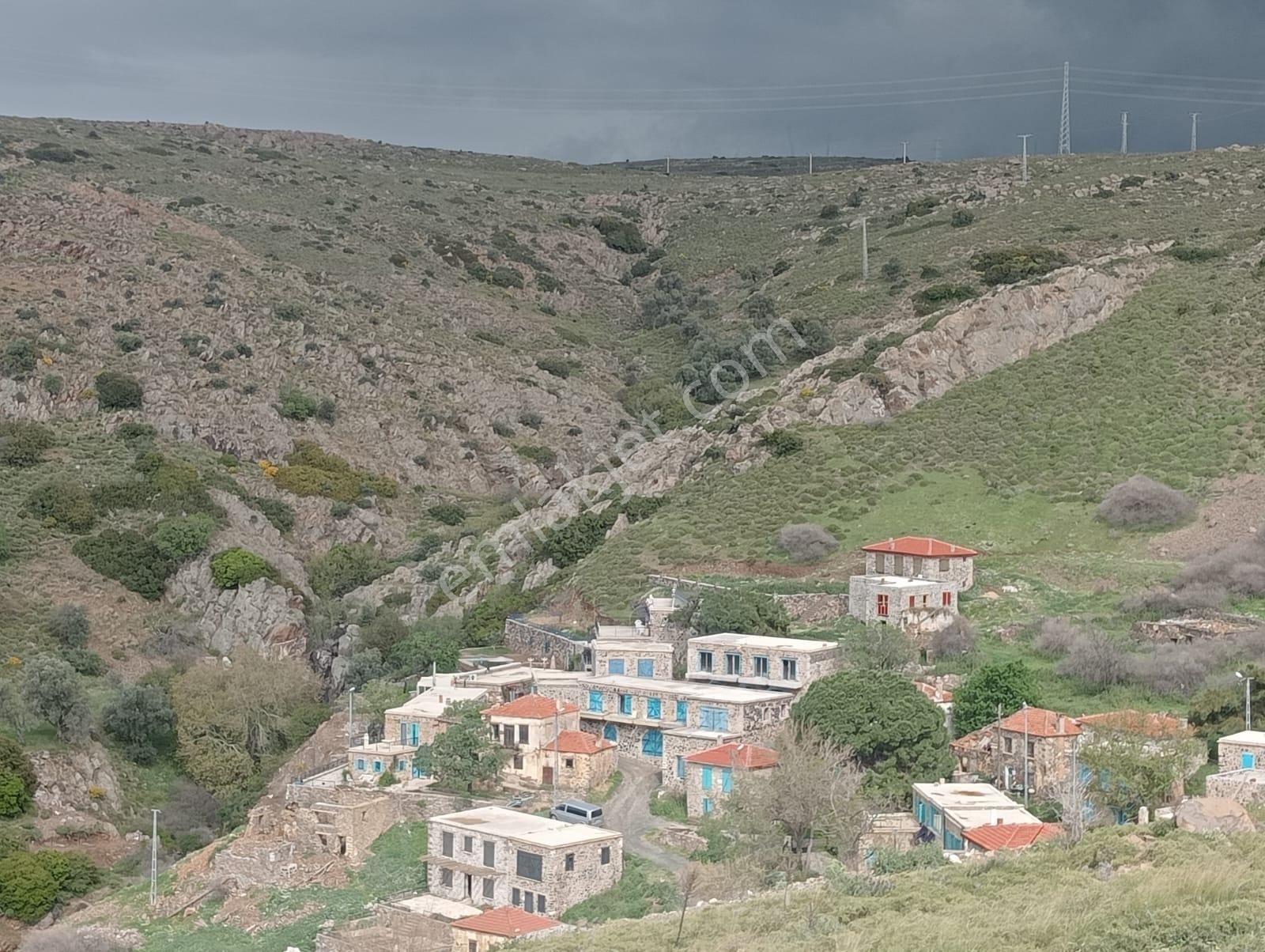 Karaburun Küçükbahçe'de Deniz Manzaralı Zeytin Ağaçlı Tarla - Görsel 20