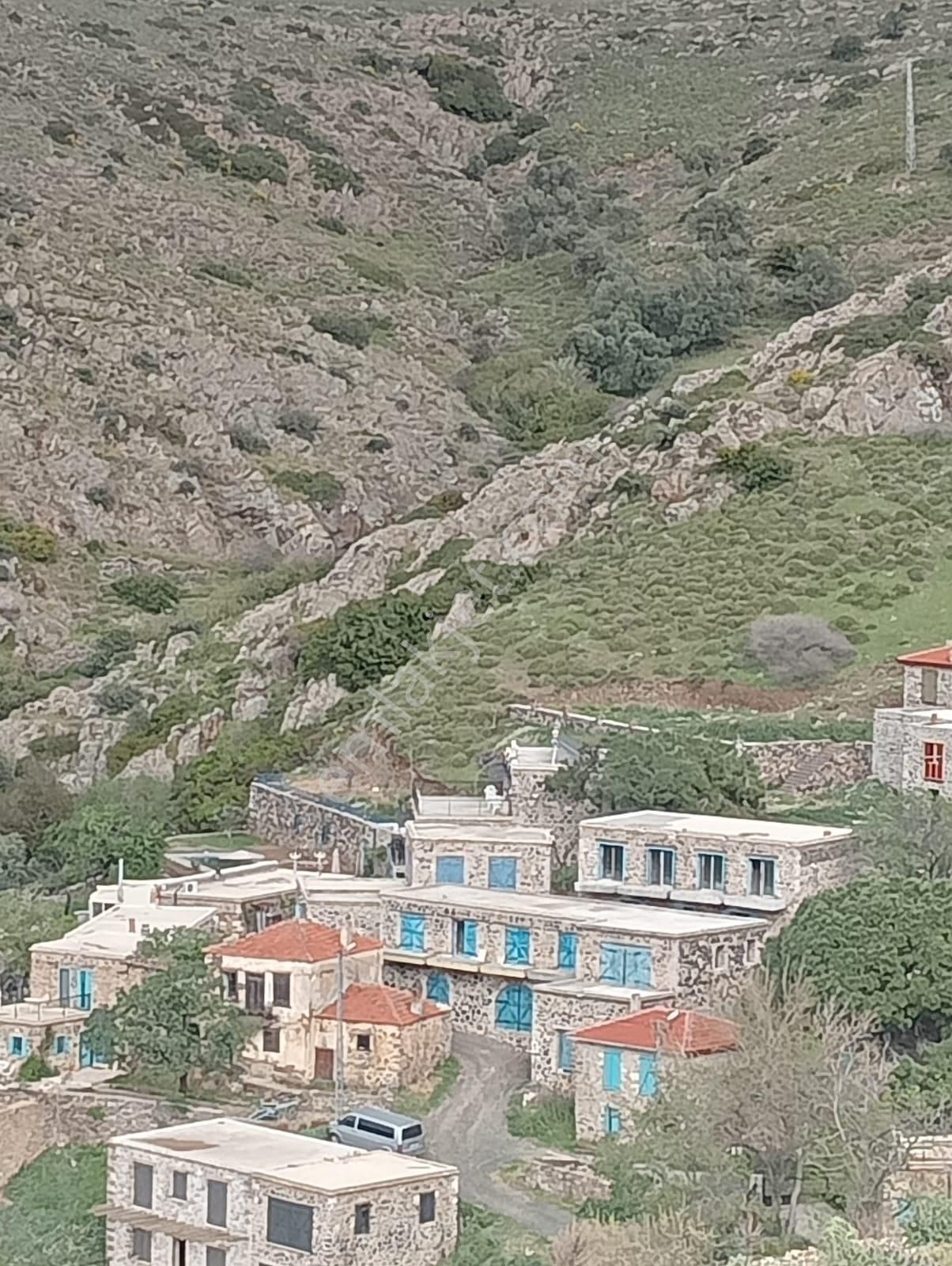Karaburun Küçükbahçe'de Deniz Manzaralı Zeytin Ağaçlı Tarla - Görsel 18