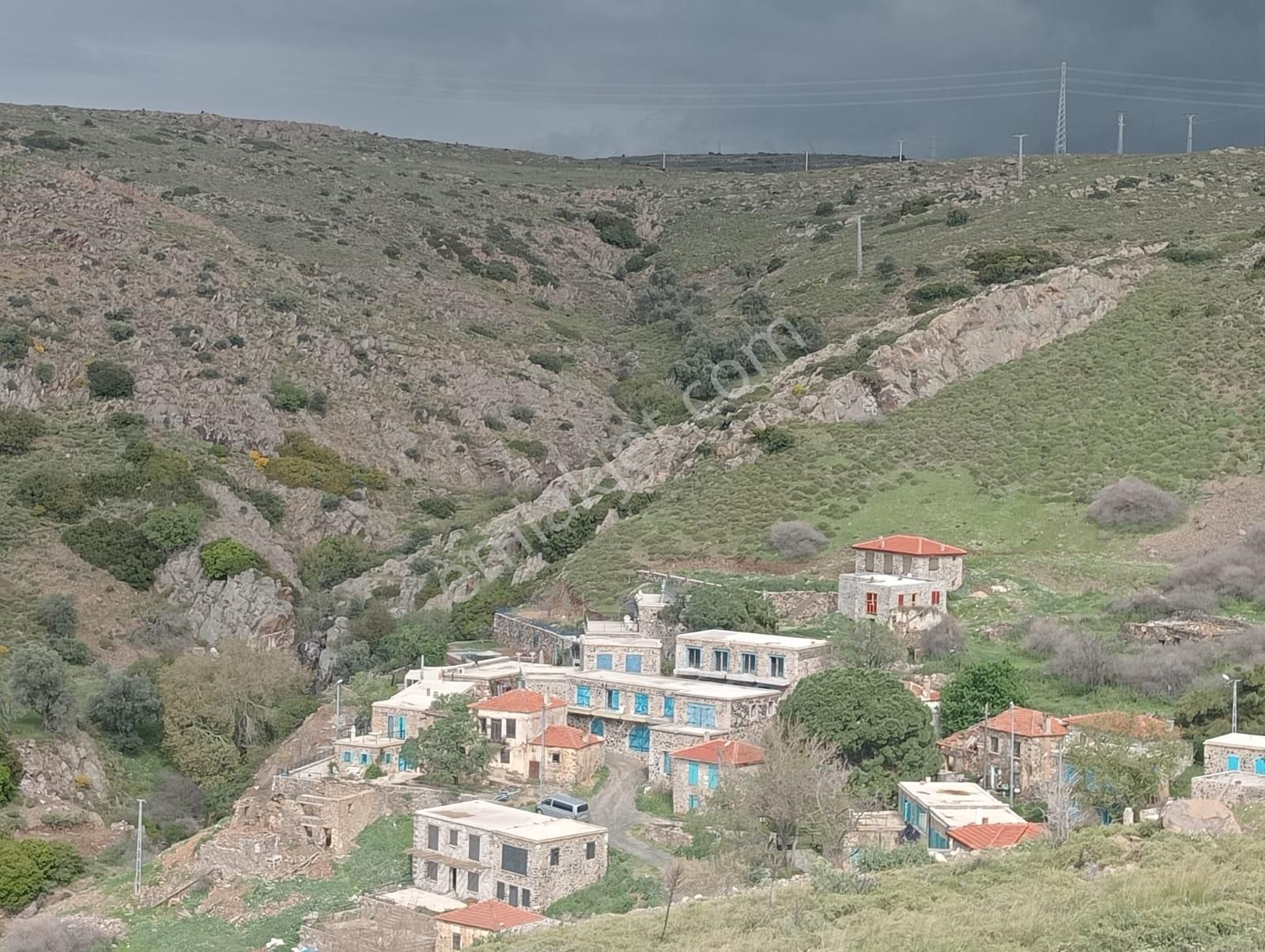 Karaburun Küçükbahçe'de Deniz Manzaralı Zeytin Ağaçlı Tarla - Görsel 21
