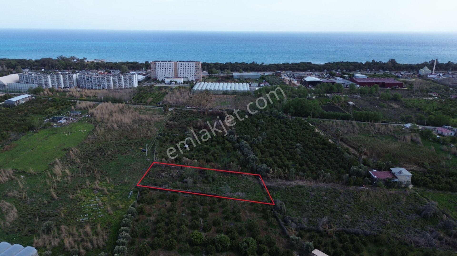 1858 M2 Müstakil Tapulu Denize 400 Metre