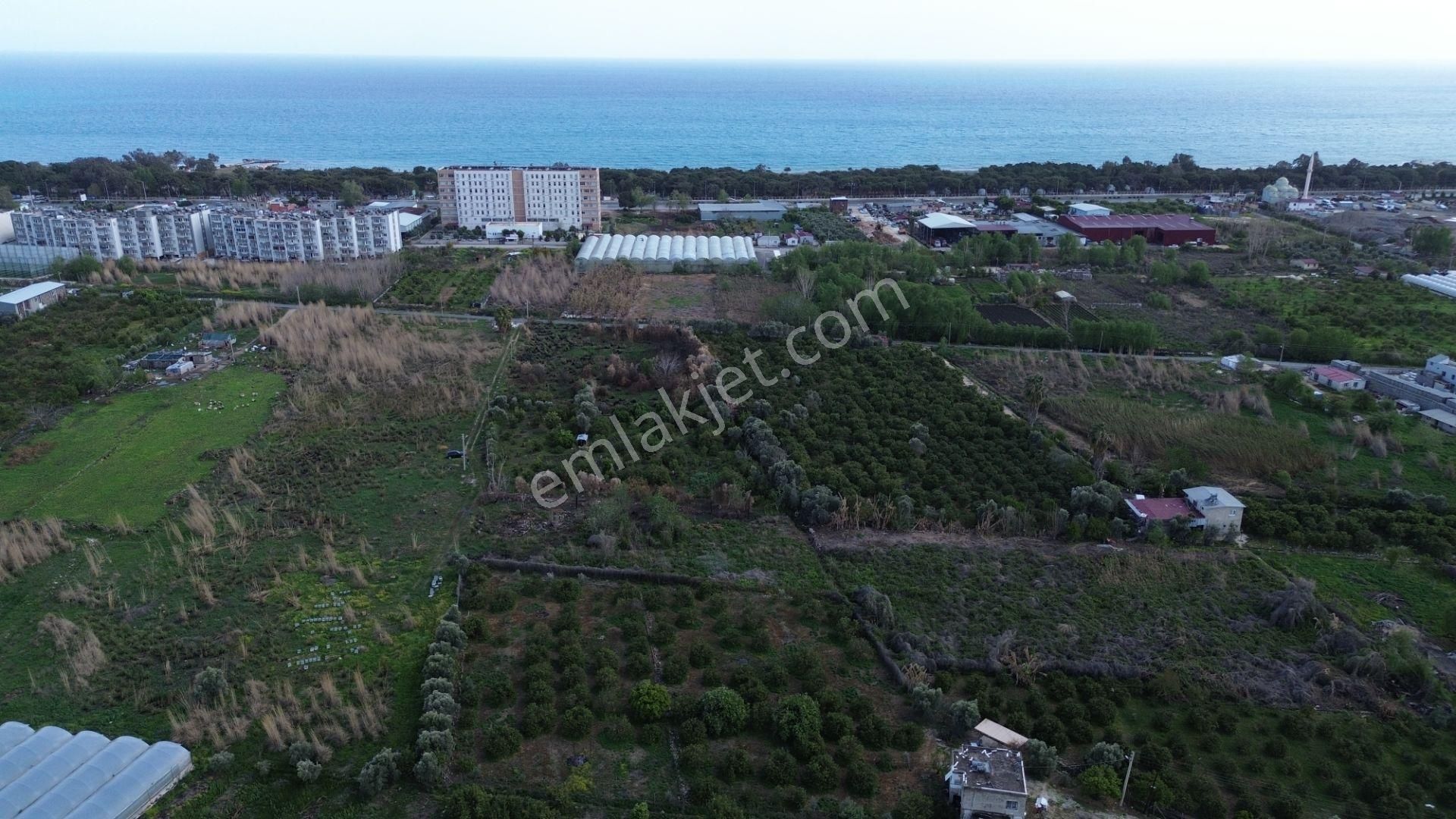 1858 M2 Müstakil Tapulu Denize 400 Metre - Görsel 12