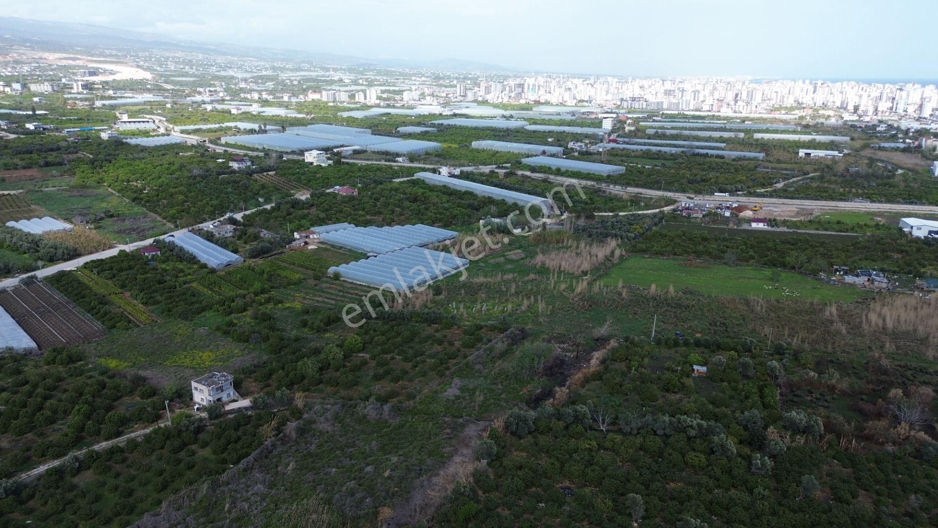 1858 M2 Müstakil Tapulu Denize 400 Metre - Görsel 11
