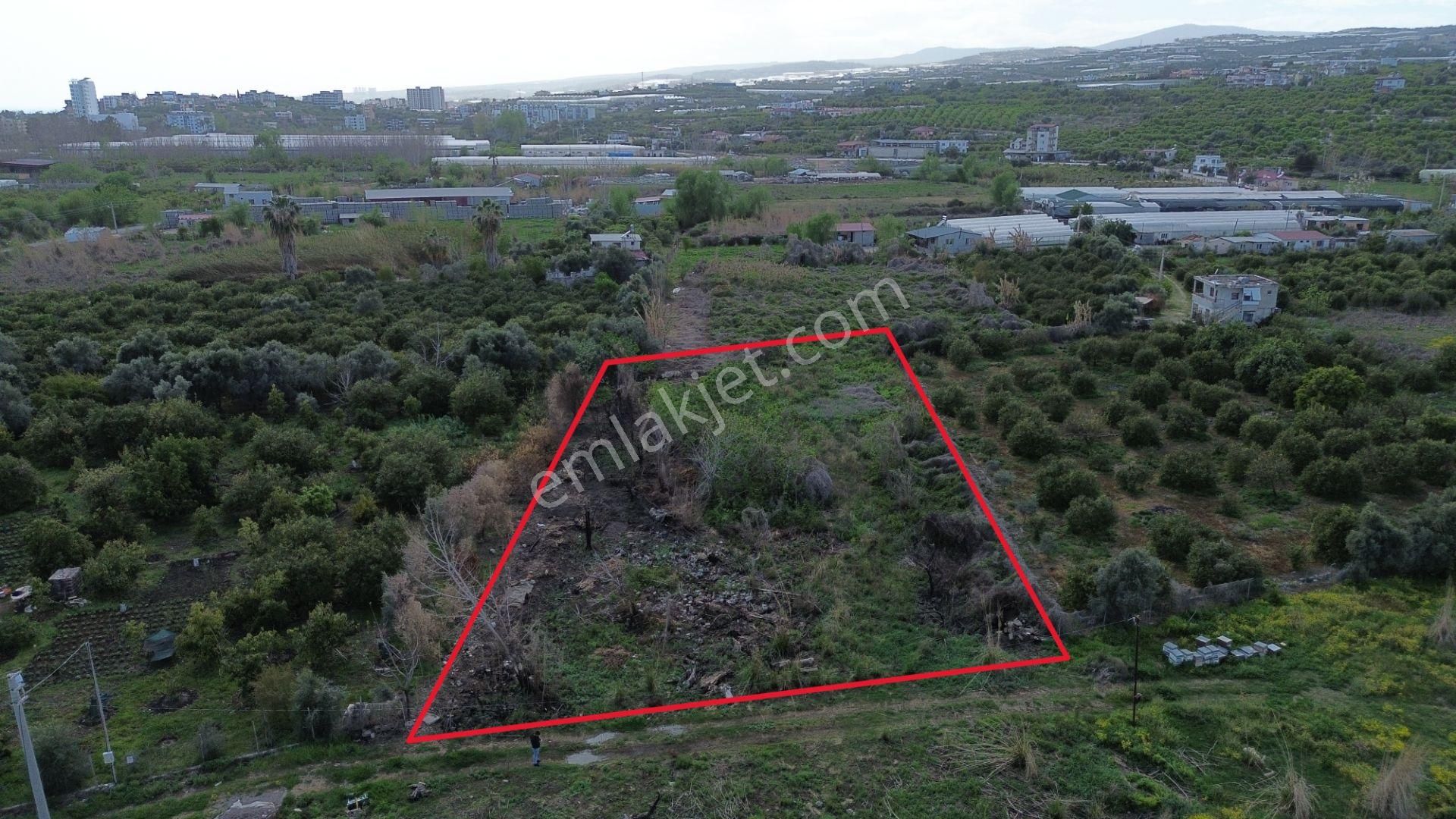 1858 M2 Müstakil Tapulu Denize 400 Metre - Görsel 3