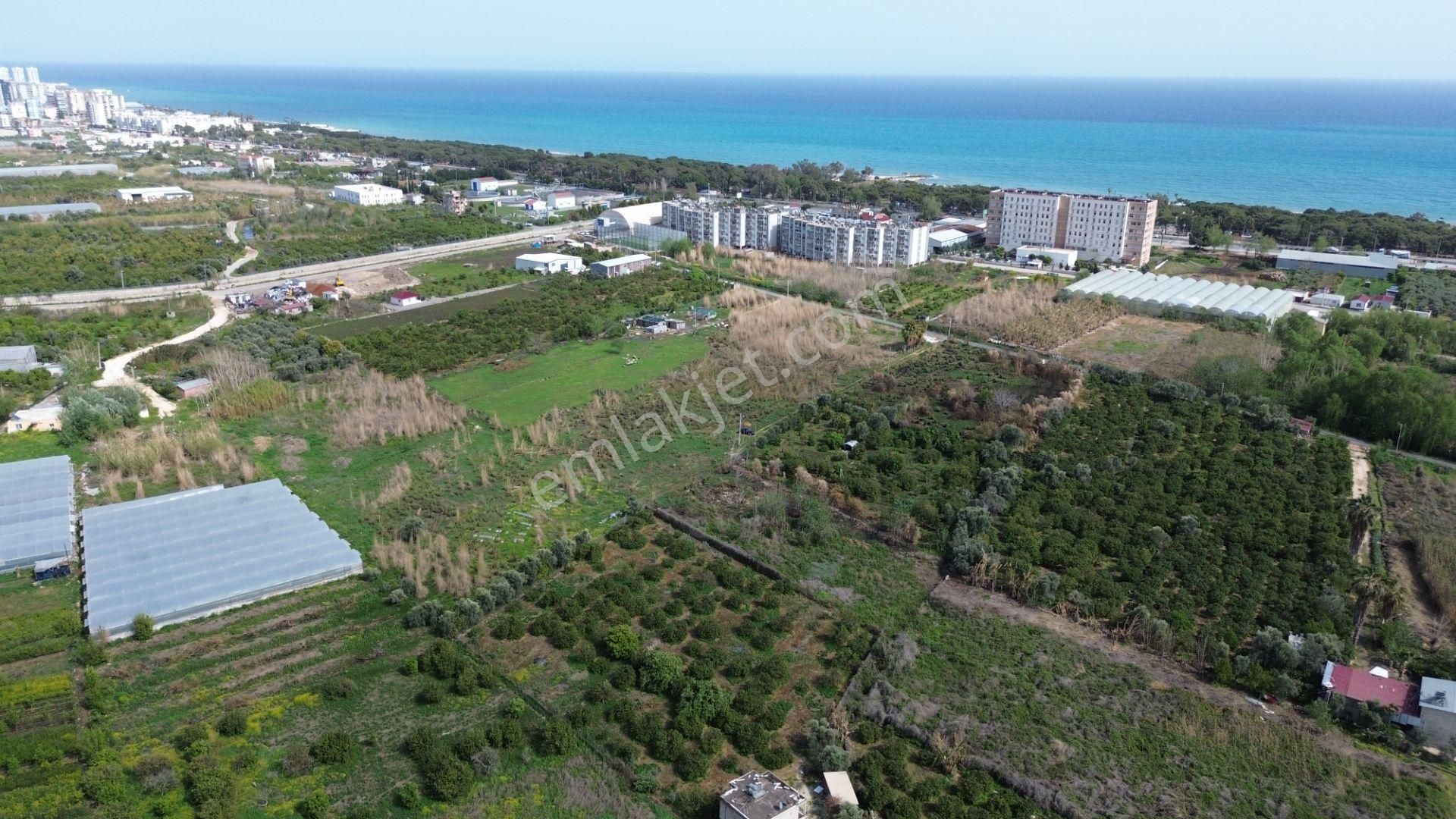 1858 M2 Müstakil Tapulu Denize 400 Metre - Görsel 7