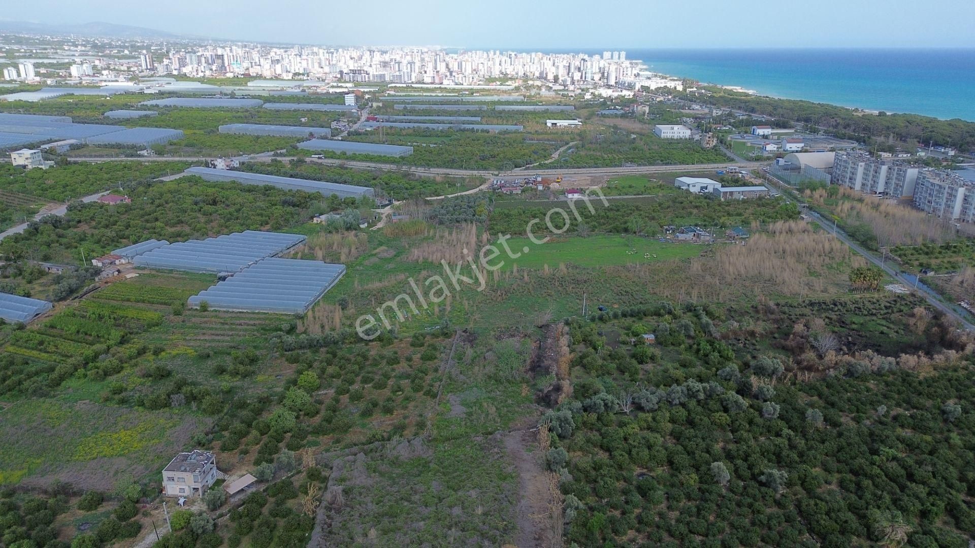 1858 M2 Müstakil Tapulu Denize 400 Metre - Görsel 10