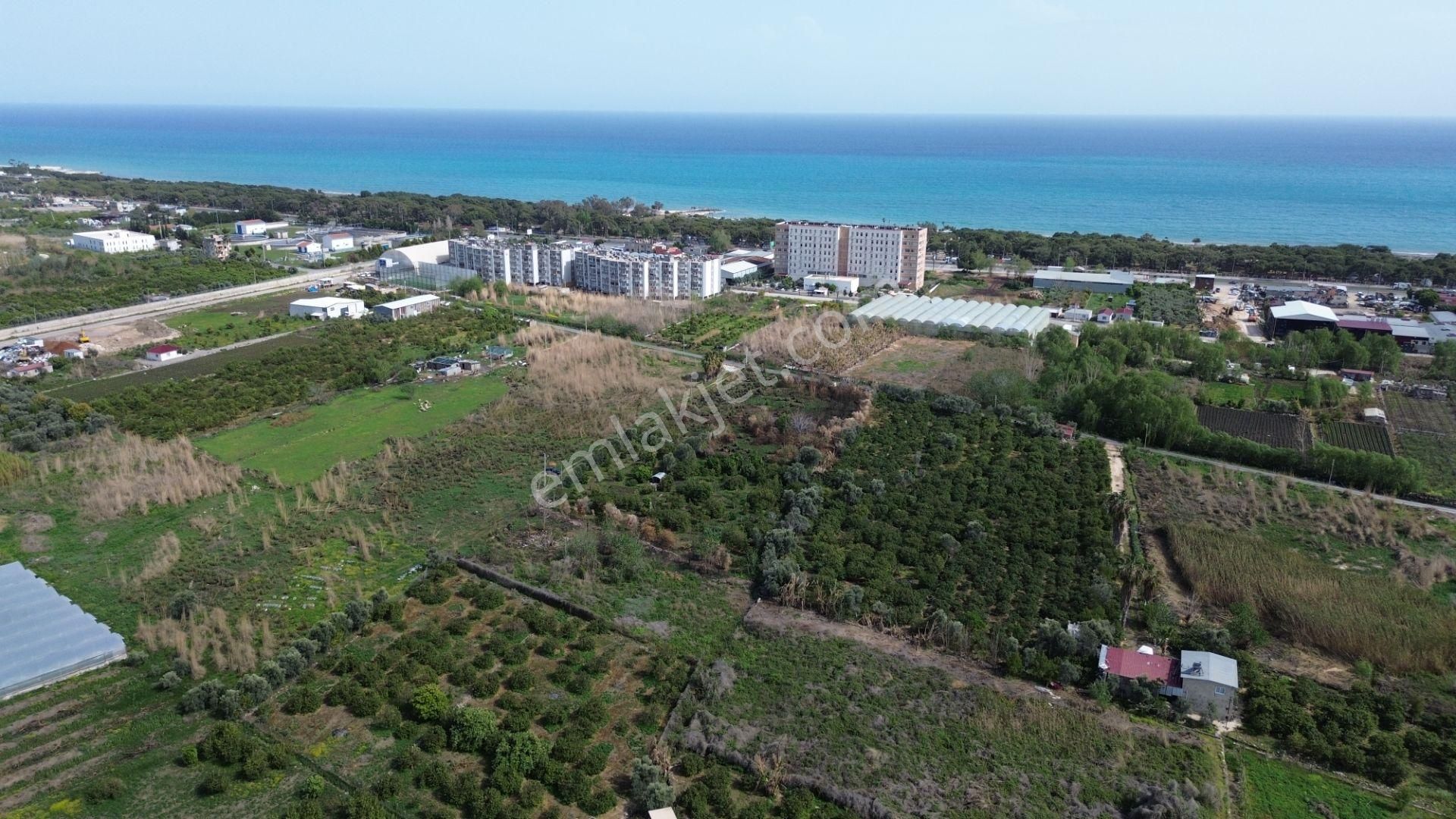 1858 M2 Müstakil Tapulu Denize 400 Metre - Görsel 8