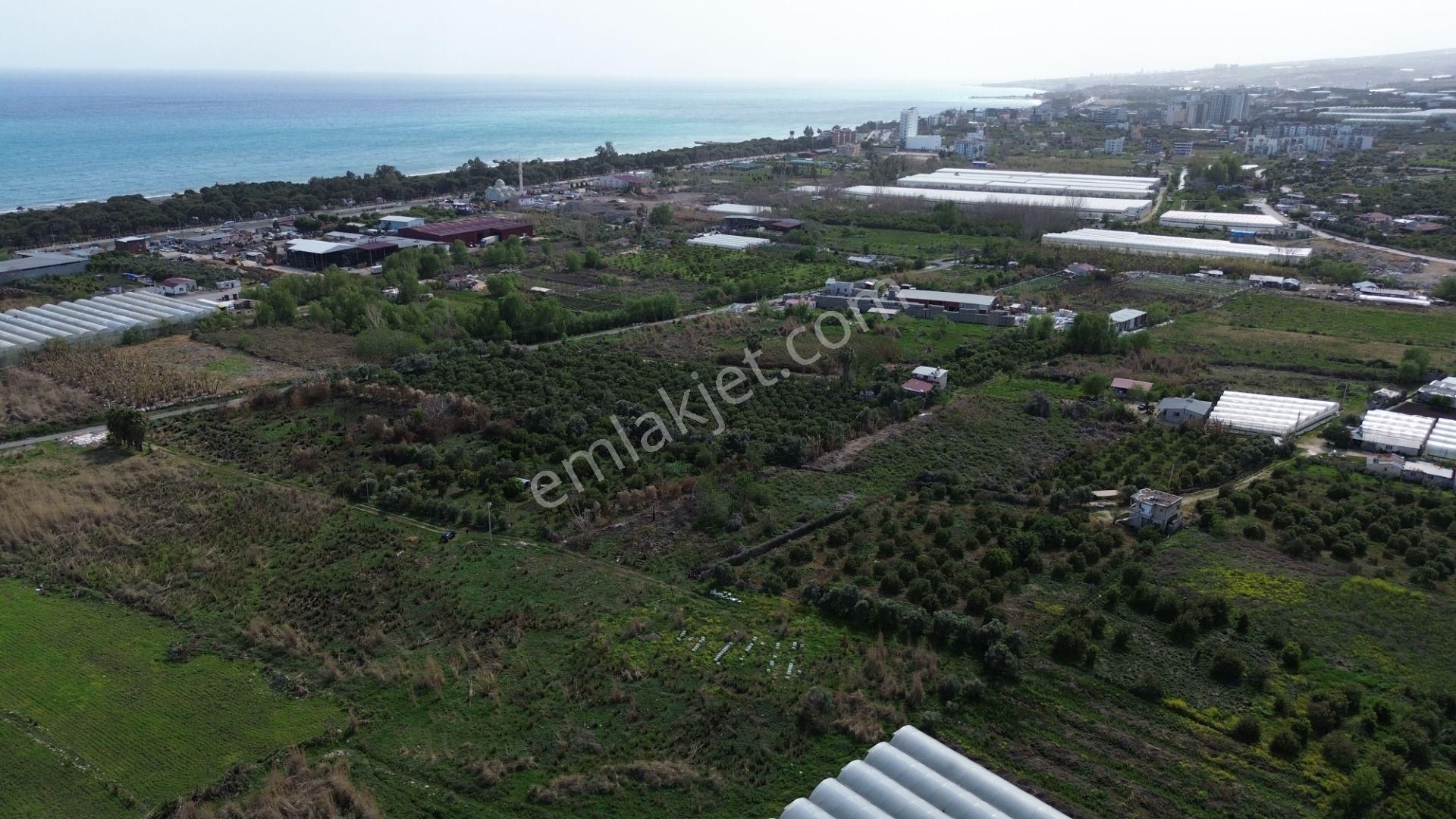 1858 M2 Müstakil Tapulu Denize 400 Metre - Görsel 4