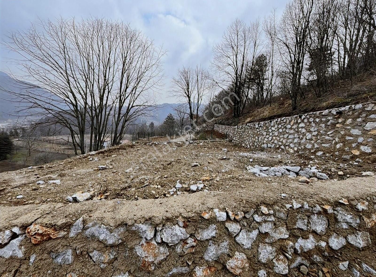 Hd'den Manzaralı Hobi Bahçesi - Görsel 2