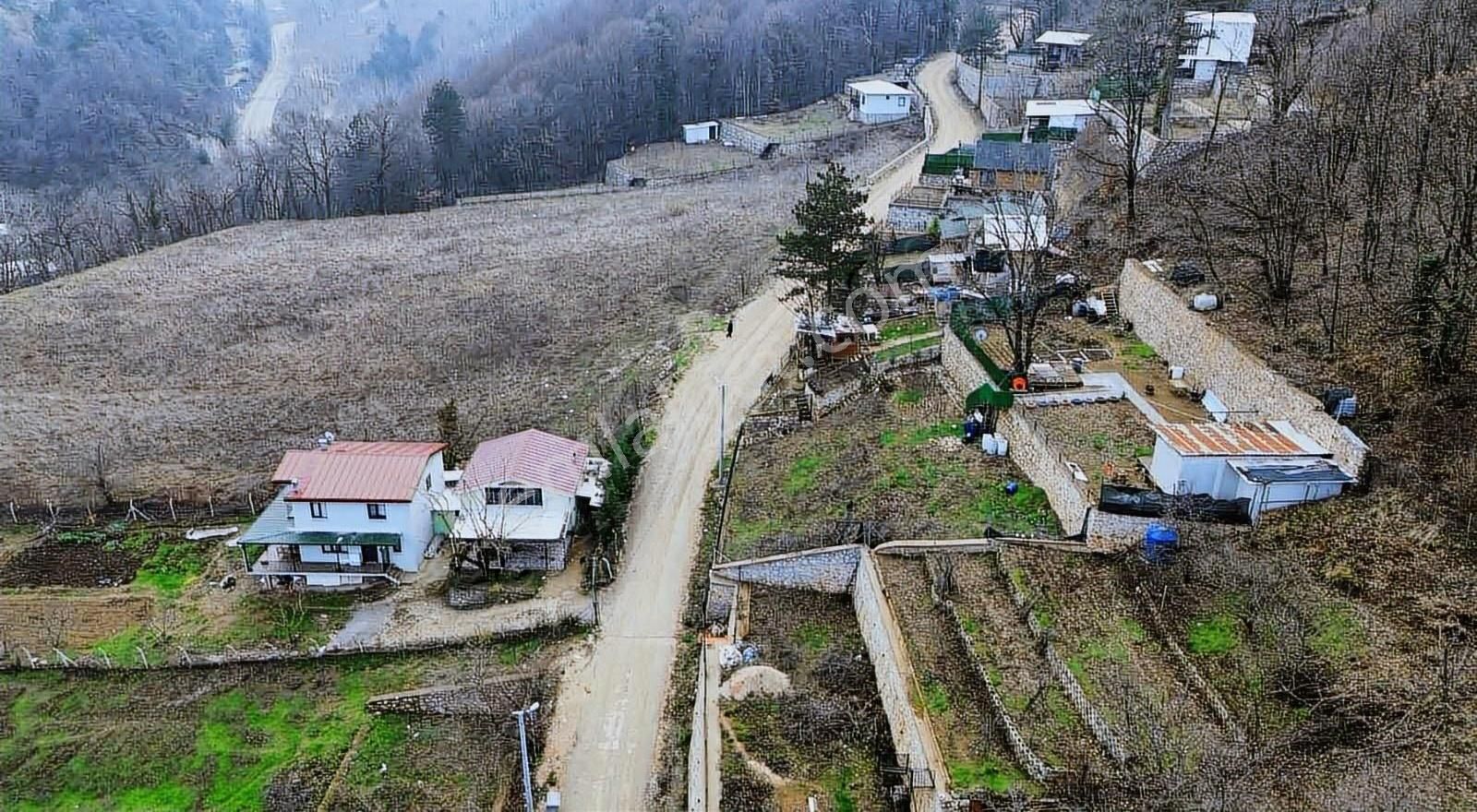 Hd'den Manzaralı Hobi Bahçesi - Görsel 4