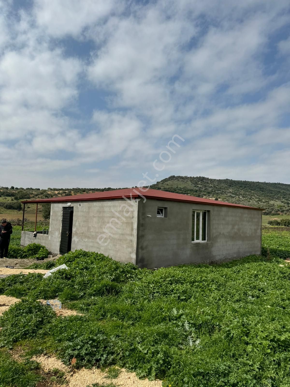 Uyaran79gayrimenkulden İçinde 2+1 Evi Olan 250 Fidanlı Zeytinlik - Görsel 13