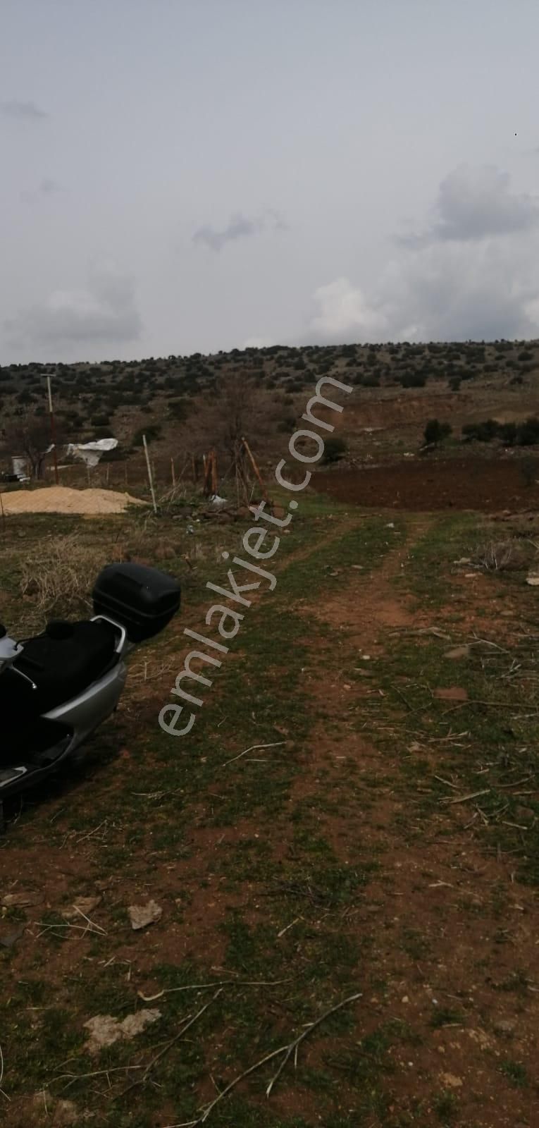 Uyaran79gayrimenkulden İçinde 2+1 Evi Olan 250 Fidanlı Zeytinlik - Görsel 25