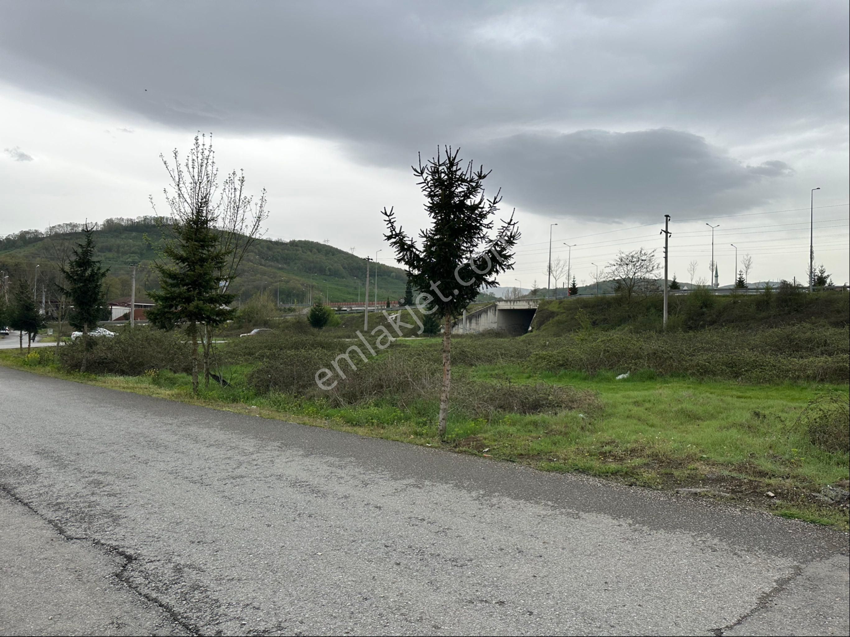 Gümüşovada 3 Kat %45 Konut İmarlı Arsa - Görsel 15