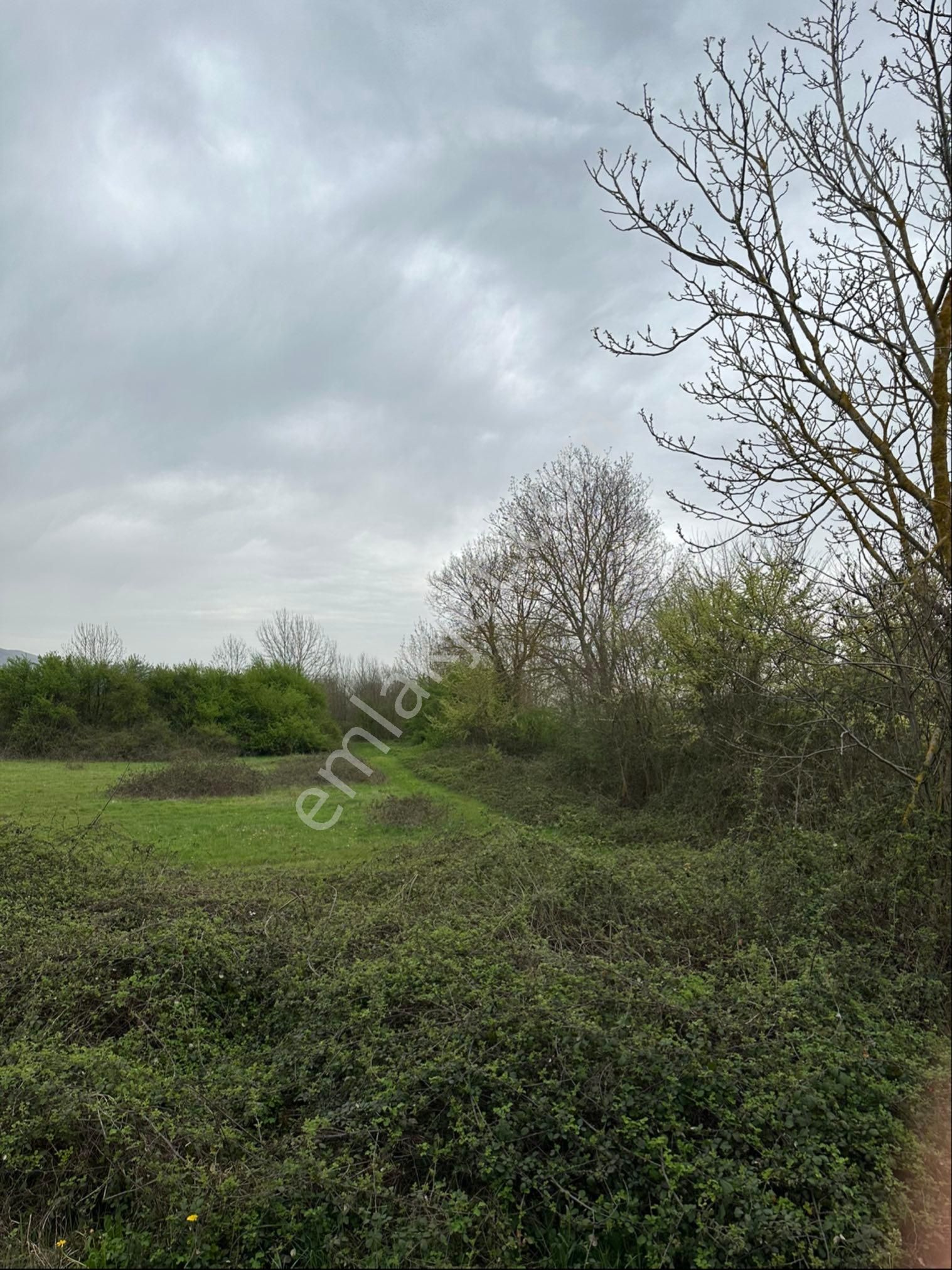 Gümüşovada 3 Kat %45 Konut İmarlı Arsa - Görsel 21