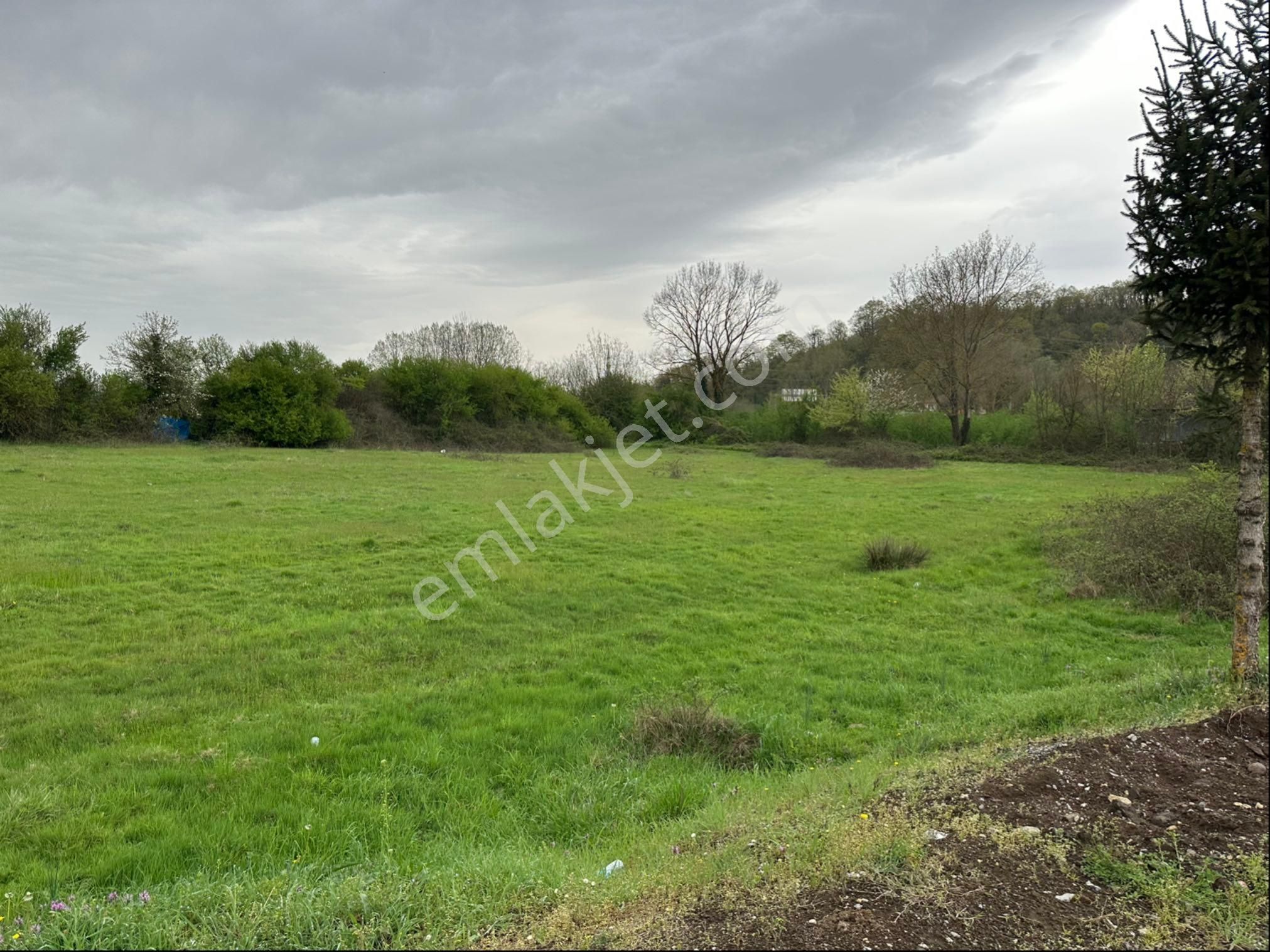 Gümüşovada 3 Kat %45 Konut İmarlı Arsa - Görsel 8