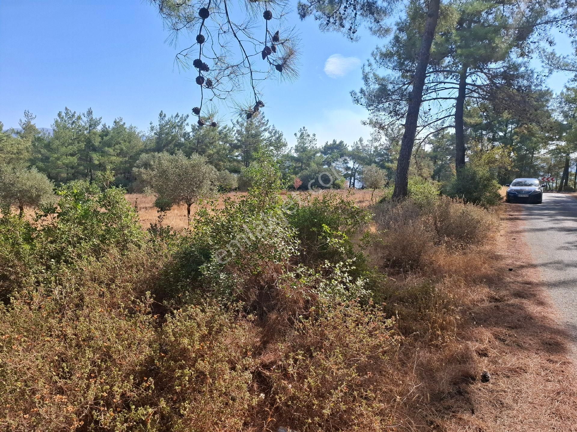 Muhteşem Doğa Ve Deniz Manzaralı Yol Parselli Satılık Tarla - Görsel 6