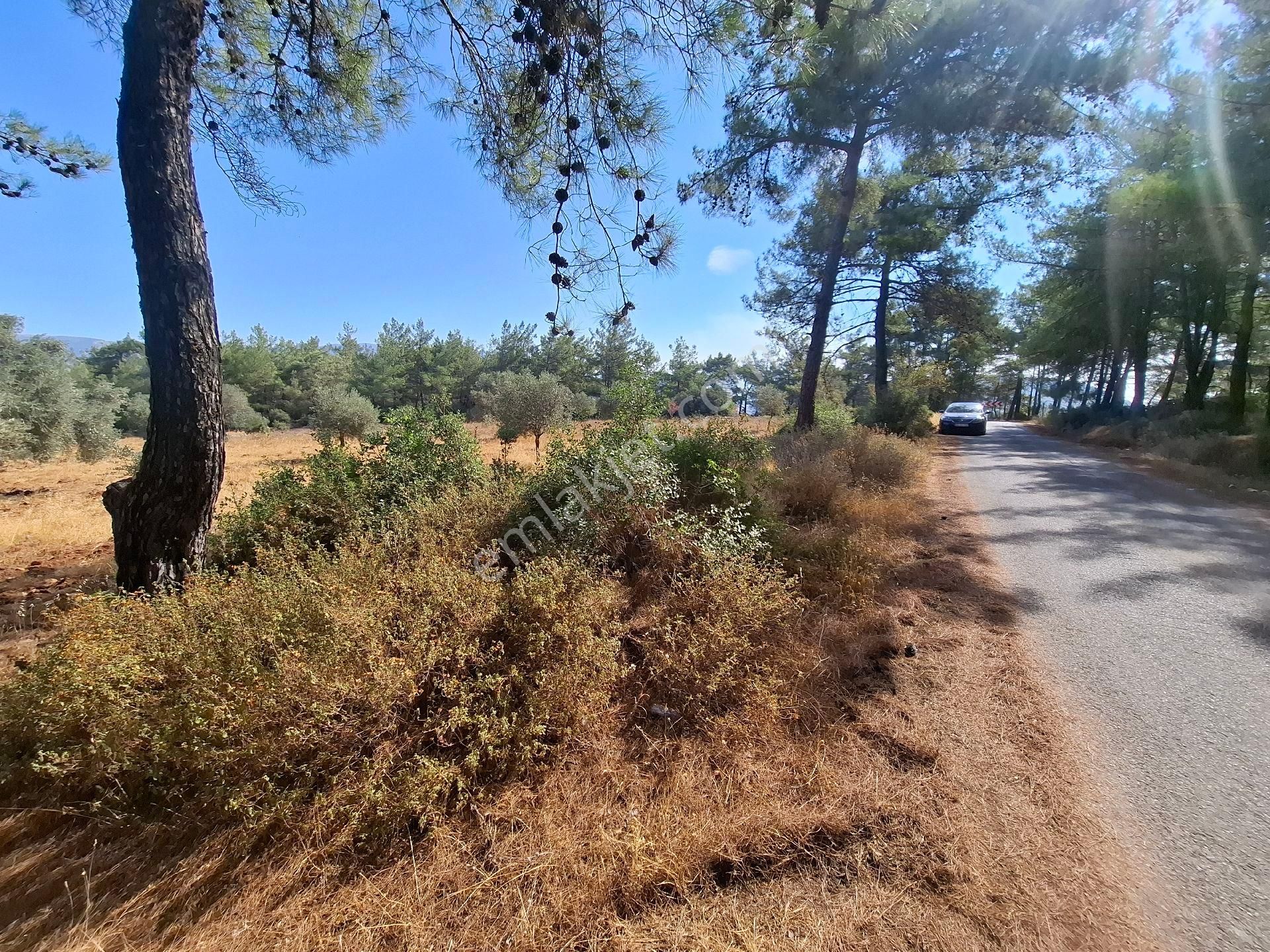 Muhteşem Doğa Ve Deniz Manzaralı Yol Parselli Satılık Tarla - Görsel 5