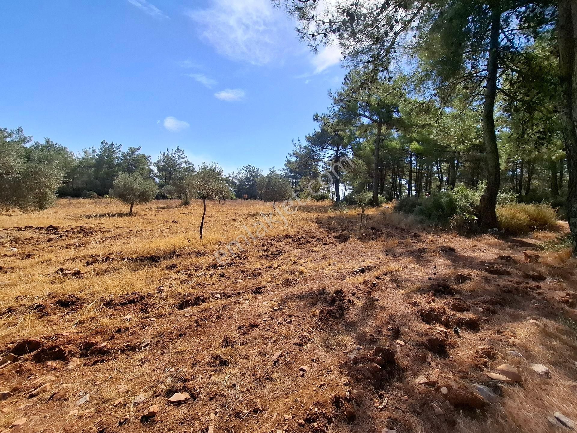 Muhteşem Doğa Ve Deniz Manzaralı Yol Parselli Satılık Tarla - Görsel 9