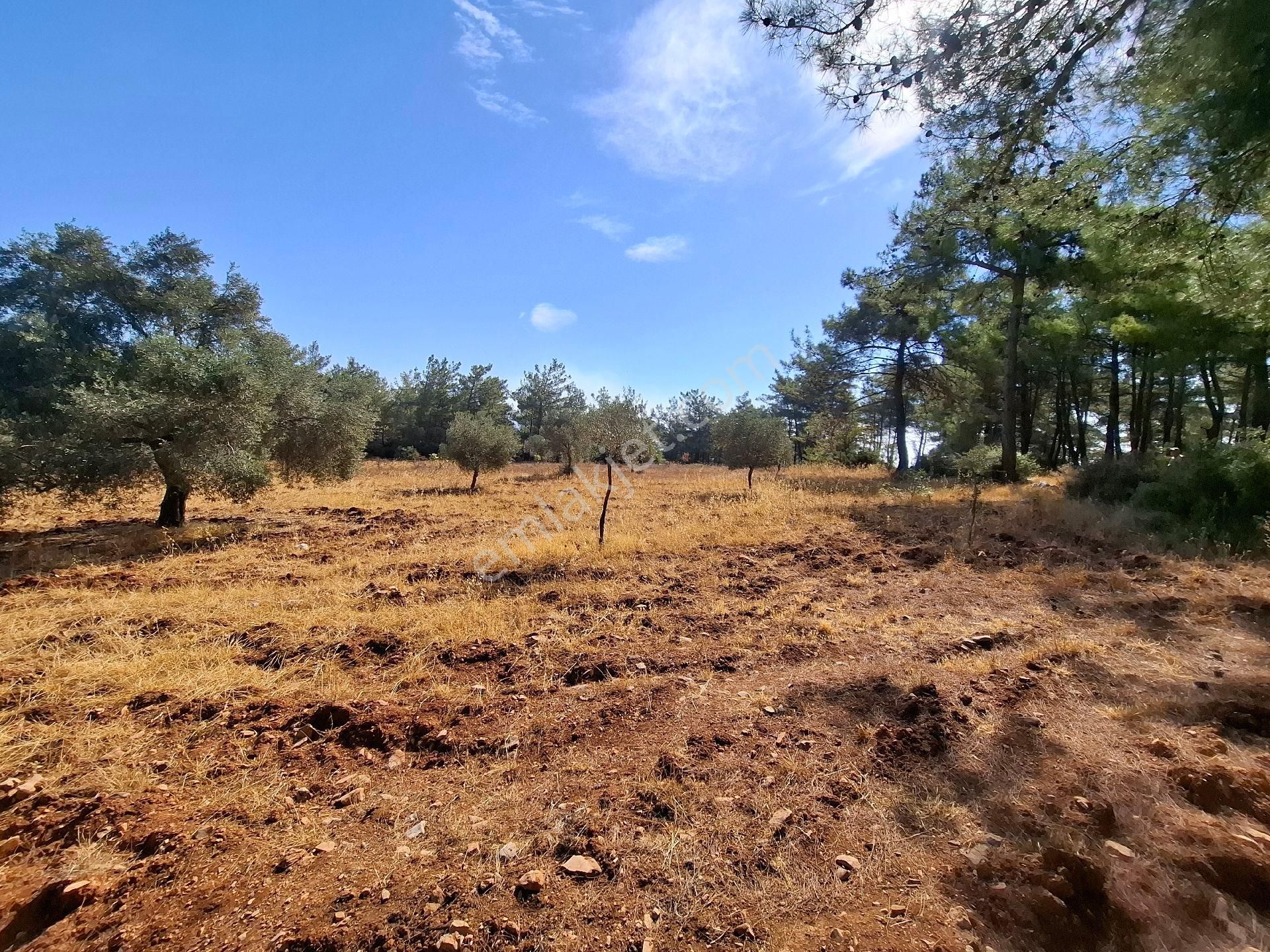 Muhteşem Doğa Ve Deniz Manzaralı Yol Parselli Satılık Tarla - Görsel 8