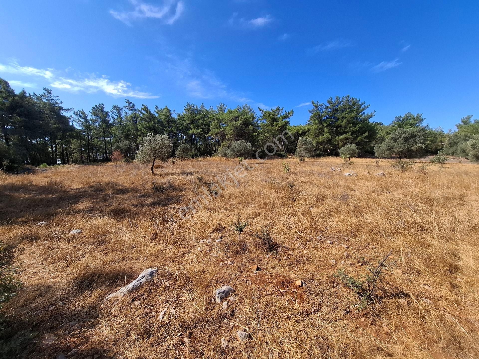 Muhteşem Doğa Ve Deniz Manzaralı Yol Parselli Satılık Tarla - Görsel 14