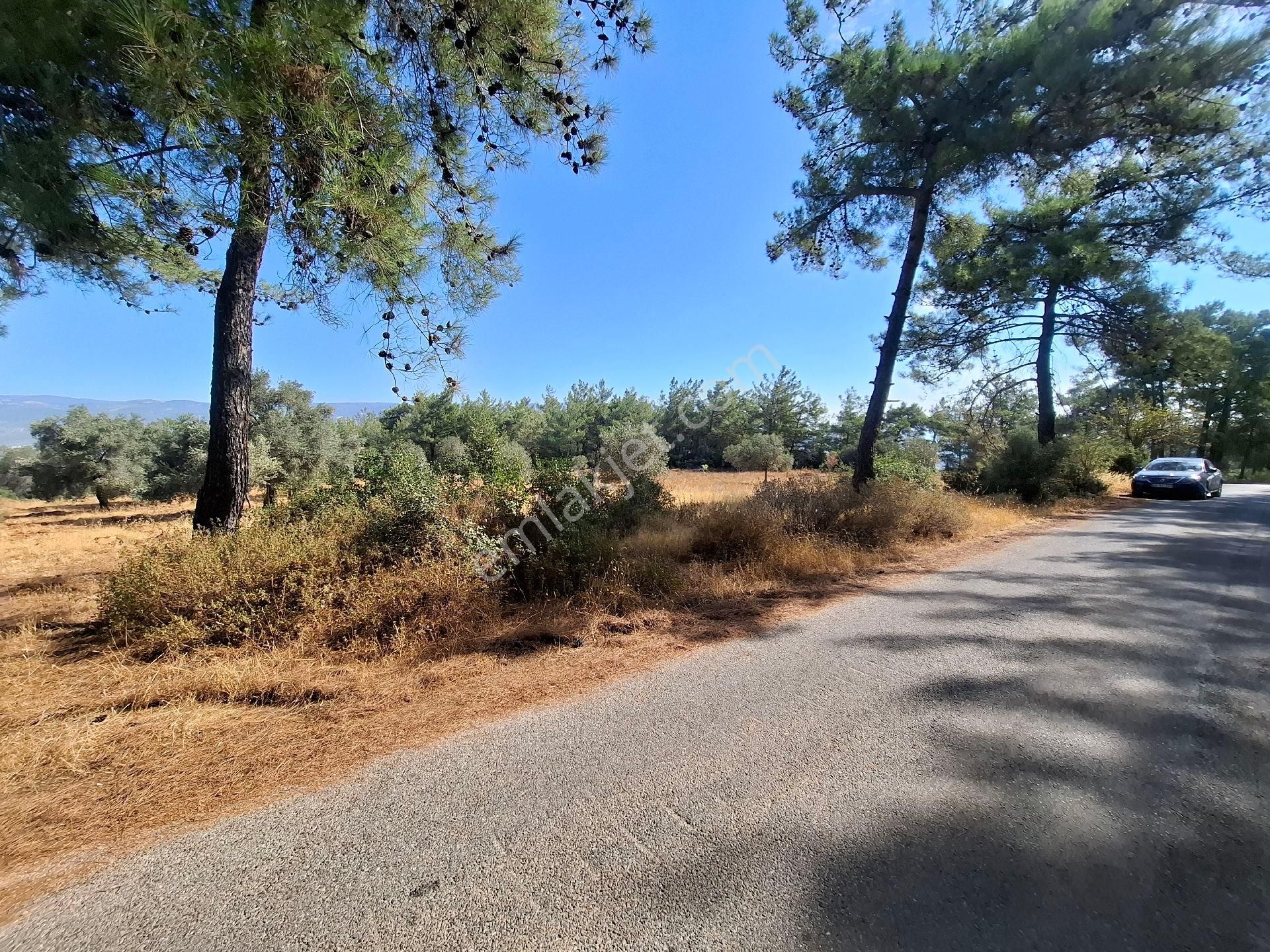 Muhteşem Doğa Ve Deniz Manzaralı Yol Parselli Satılık Tarla - Görsel 4