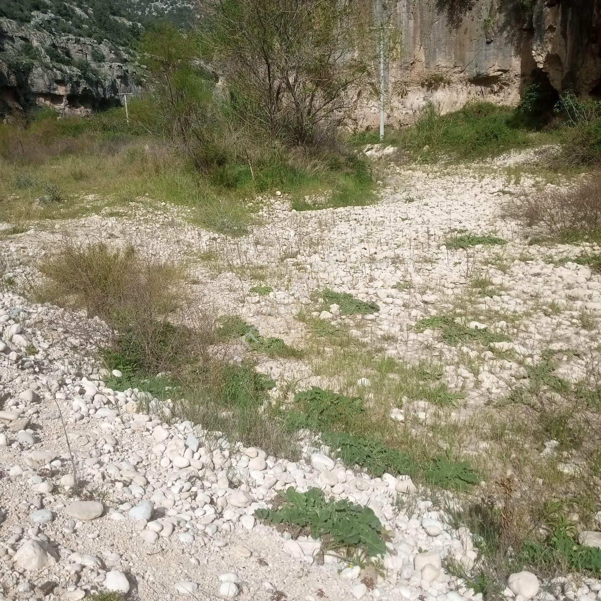 Mersin Erdemli Lemas (kayacı Vadisi)turistik Tesis Piknik Alanı - Görsel 5