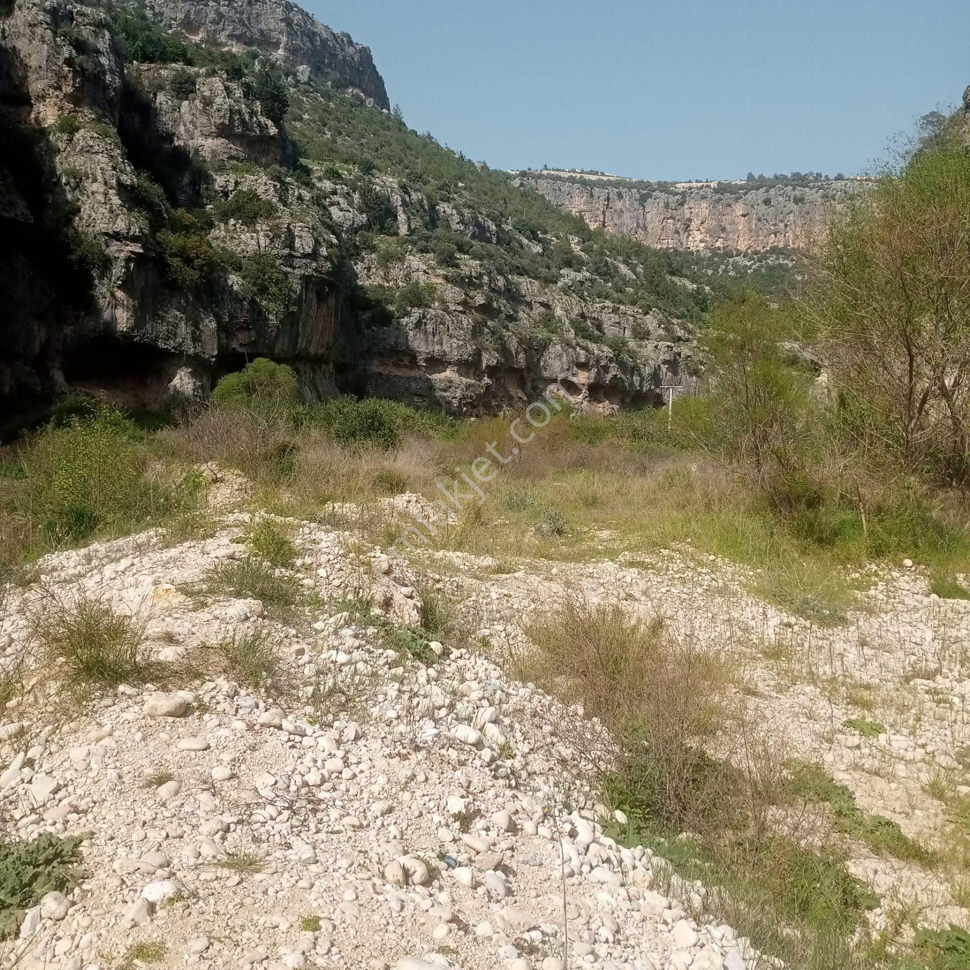 Mersin Erdemli Lemas (kayacı Vadisi)turistik Tesis Piknik Alanı - Görsel 2