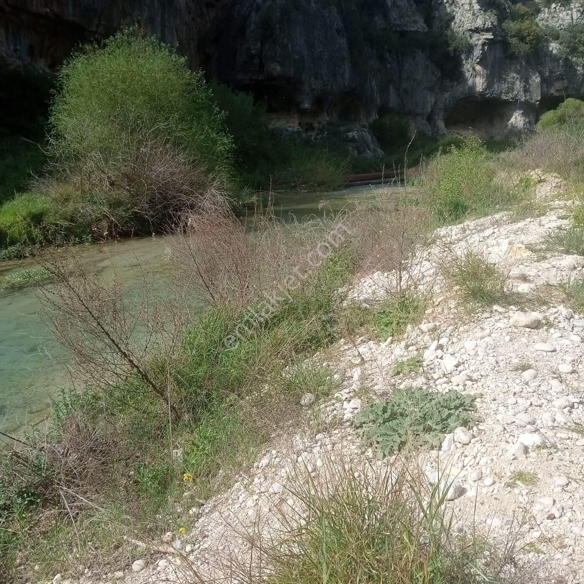 Mersin Erdemli Lemas (kayacı Vadisi)turistik Tesis Piknik Alanı - Görsel 14