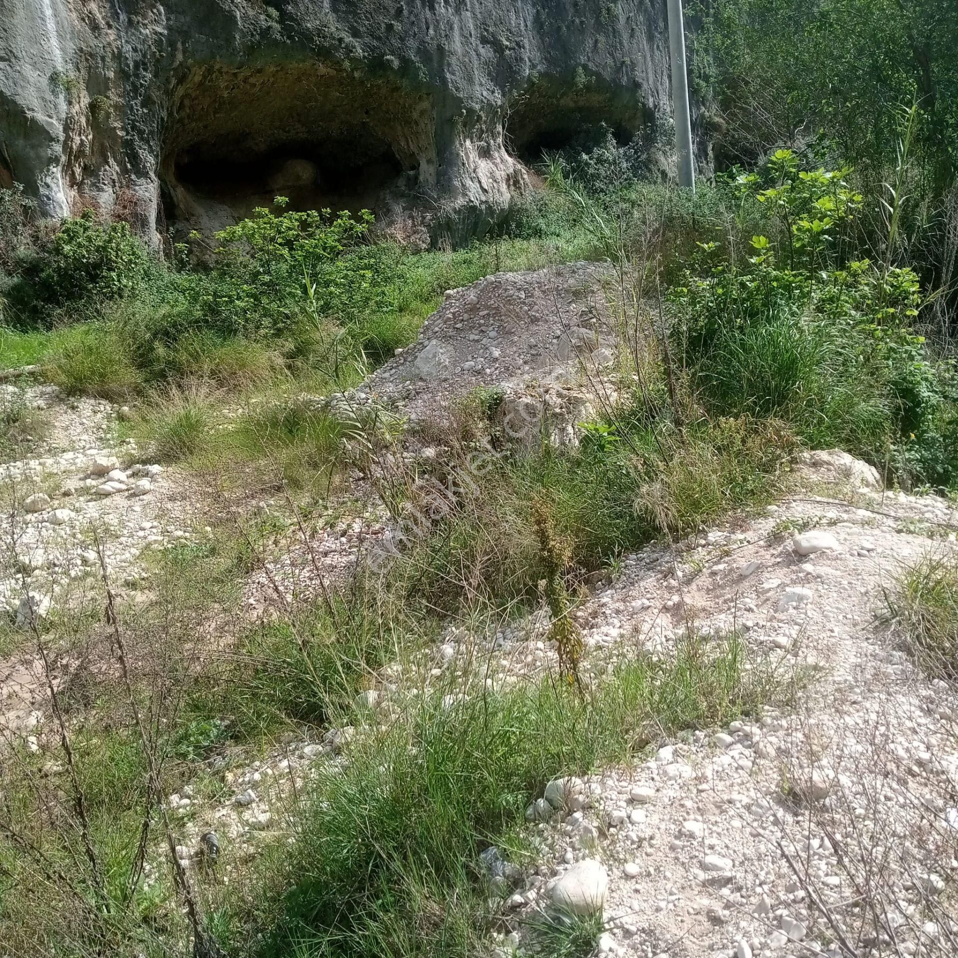 Mersin Erdemli Lemas (kayacı Vadisi)turistik Tesis Piknik Alanı - Görsel 6