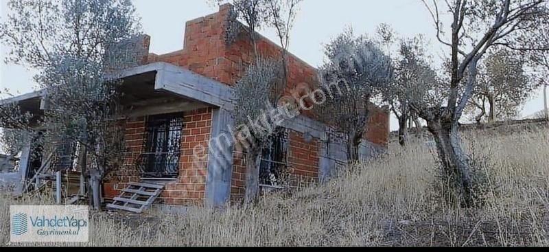 Vahdet'ten İçinde Kayıtlı Evi Olan 11.725 M² Harika Zeytinlik - Görsel 11