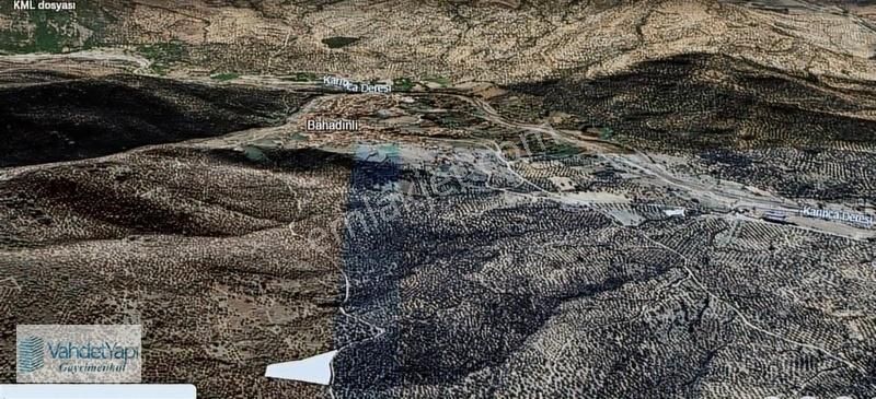 Burhaniye Bahadınlıda Resmi Yol/deniz Manzaralı 5320m² Zeytinlik - Görsel 4