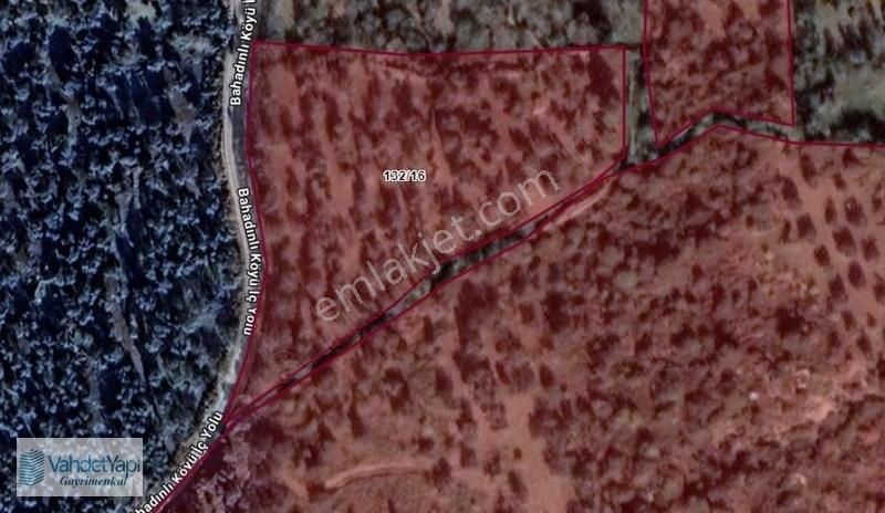 Burhaniye Bahadınlıda Resmi Yol/deniz Manzaralı 5320m² Zeytinlik - Görsel 13