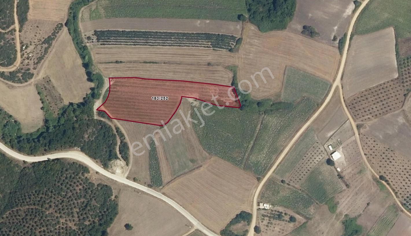 Yörükyenicesi, Kiralık, Sulu Tarım Arazisi,10240 M2, Tınyhouse Uygun