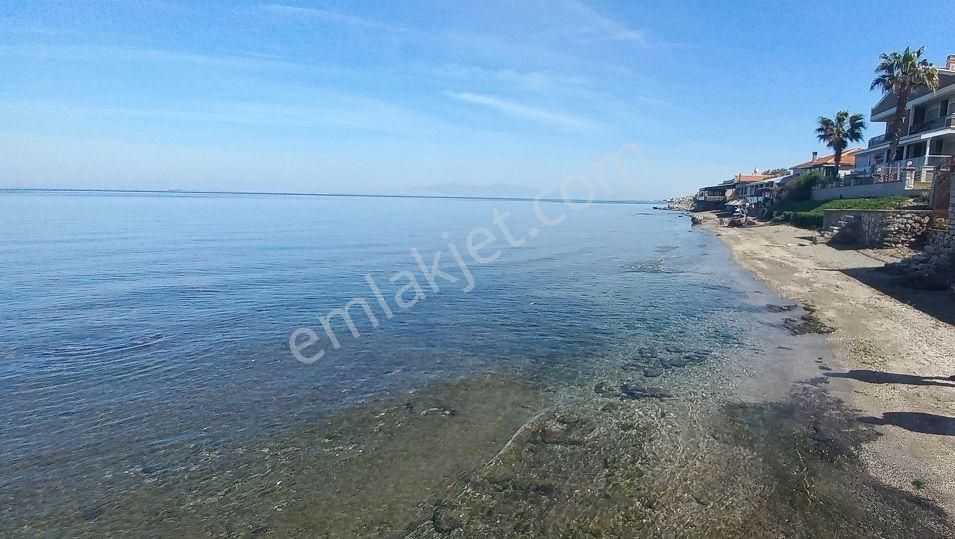 Zeytinalan' Da Denize Sıfır Arsa - Görsel 6