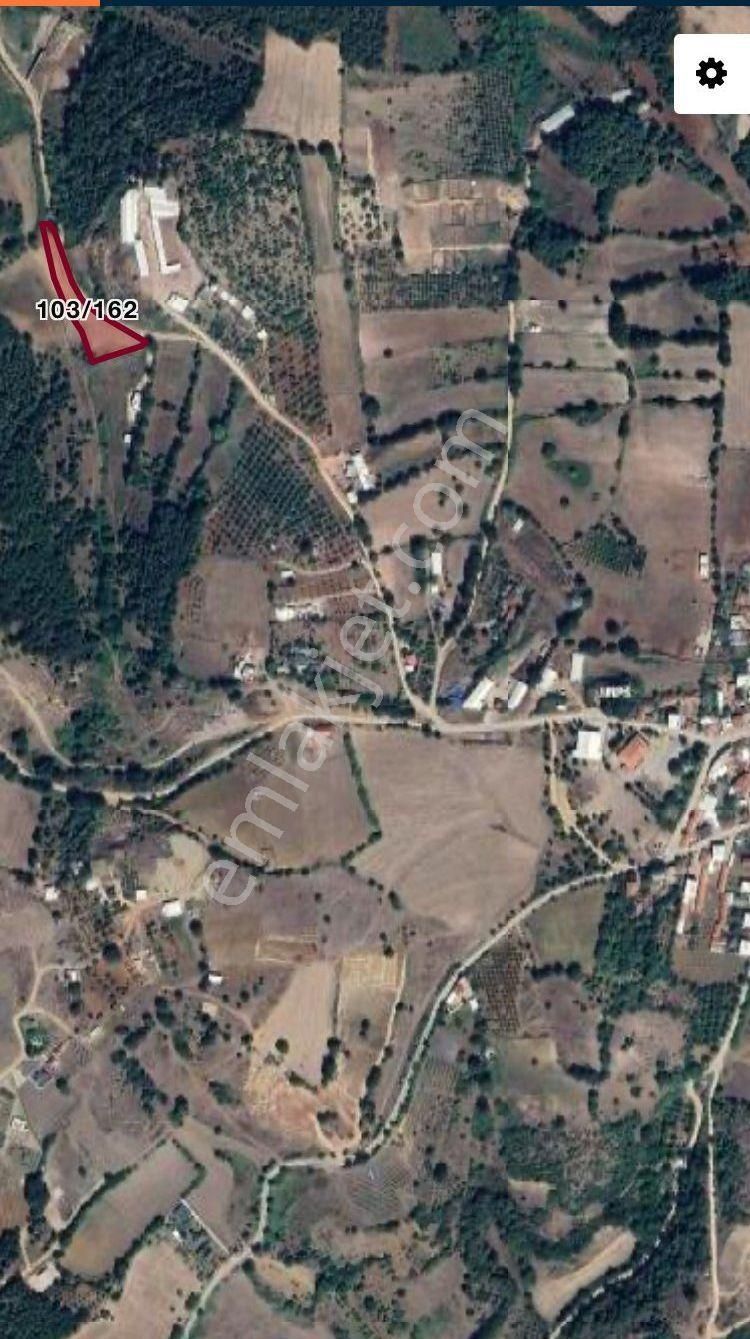 Kestel Ümitalan Köyün De Çiftlik İçin Uygun Tek Tapu - Görsel 9