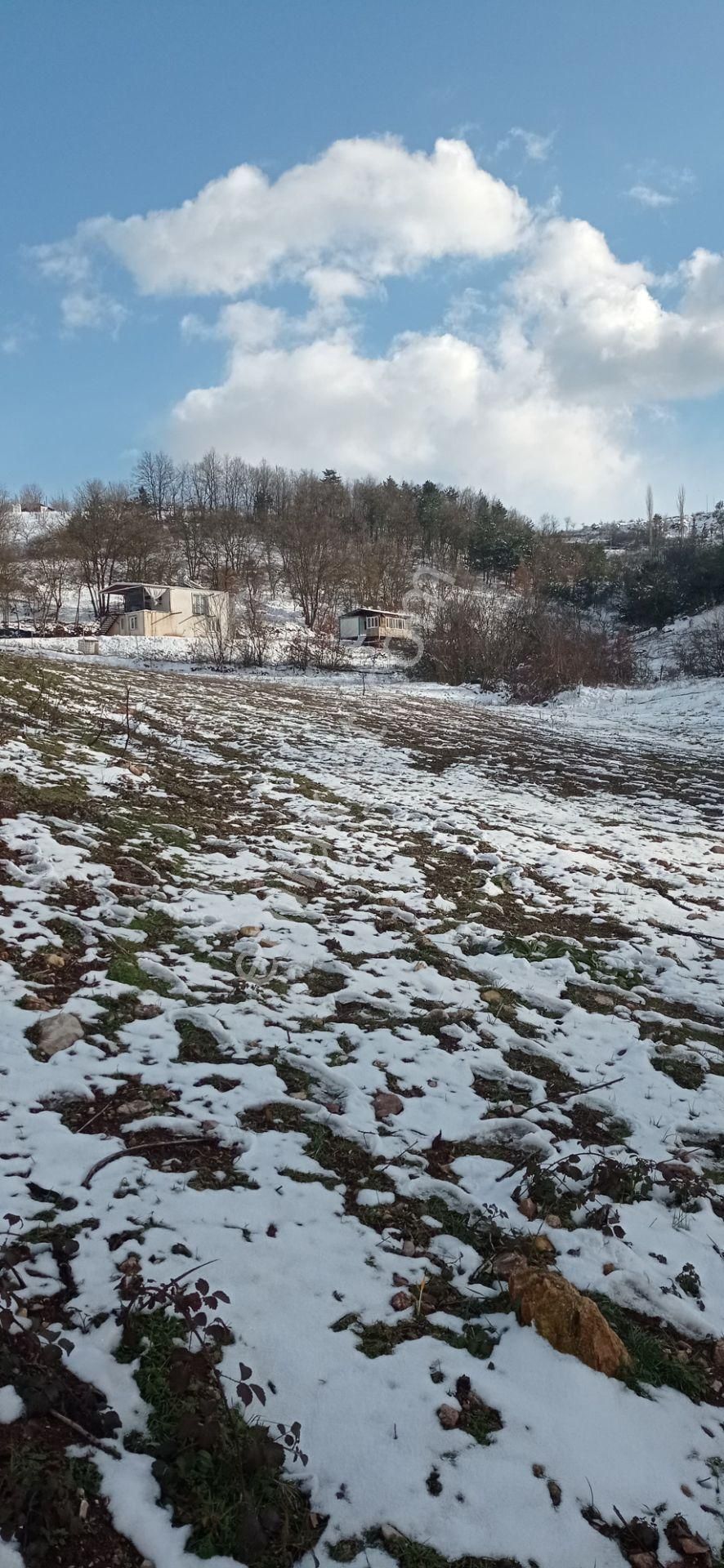 Kestel Ümitalan Köyün De Çiftlik İçin Uygun Tek Tapu - Görsel 13
