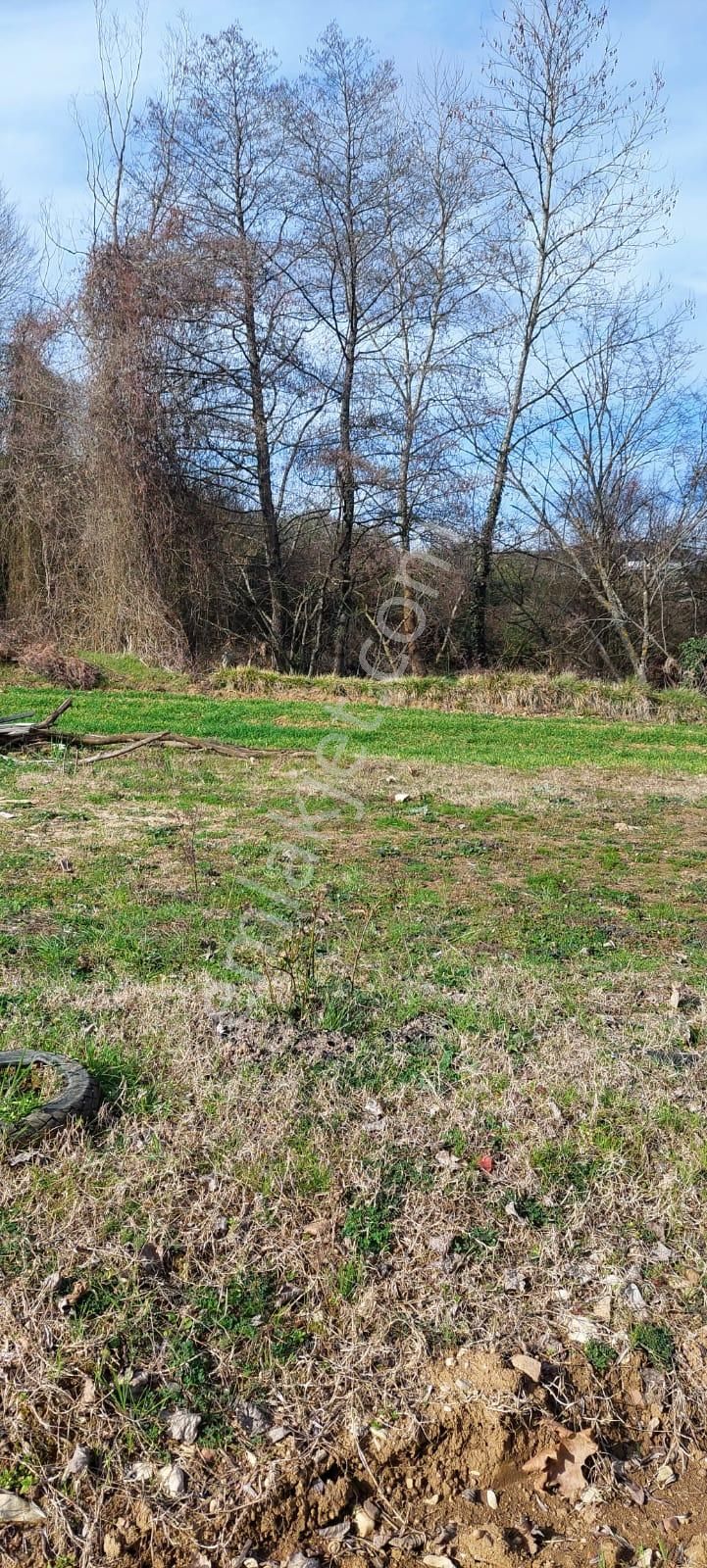 Kandıra Ömerli De Satılık Arsa - Görsel 11