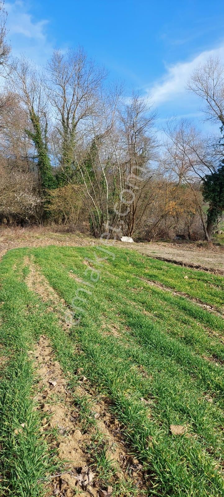 Kandıra Ömerli De Satılık Arsa - Görsel 16