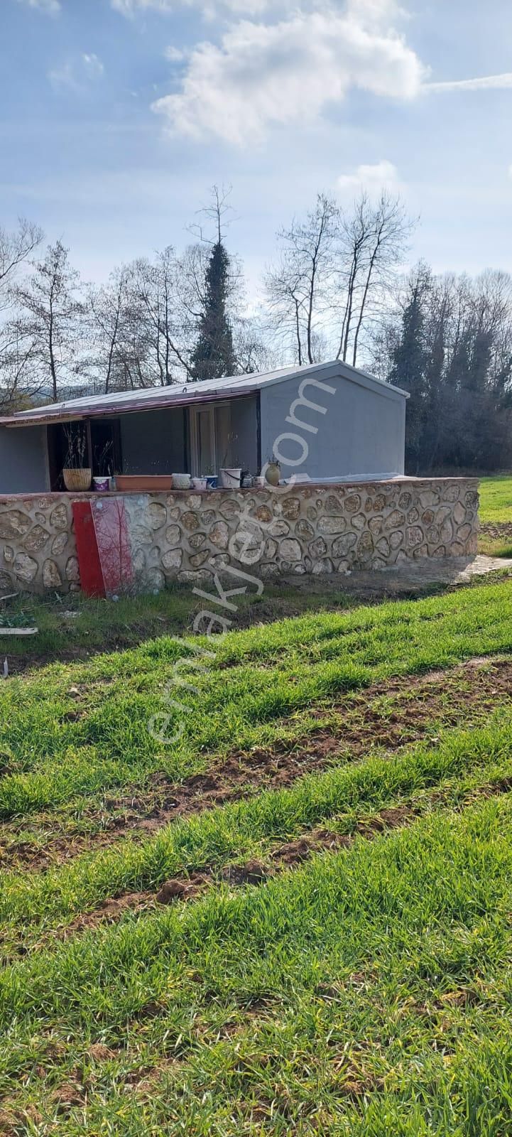 Kandıra Ömerli De Satılık Arsa - Görsel 12