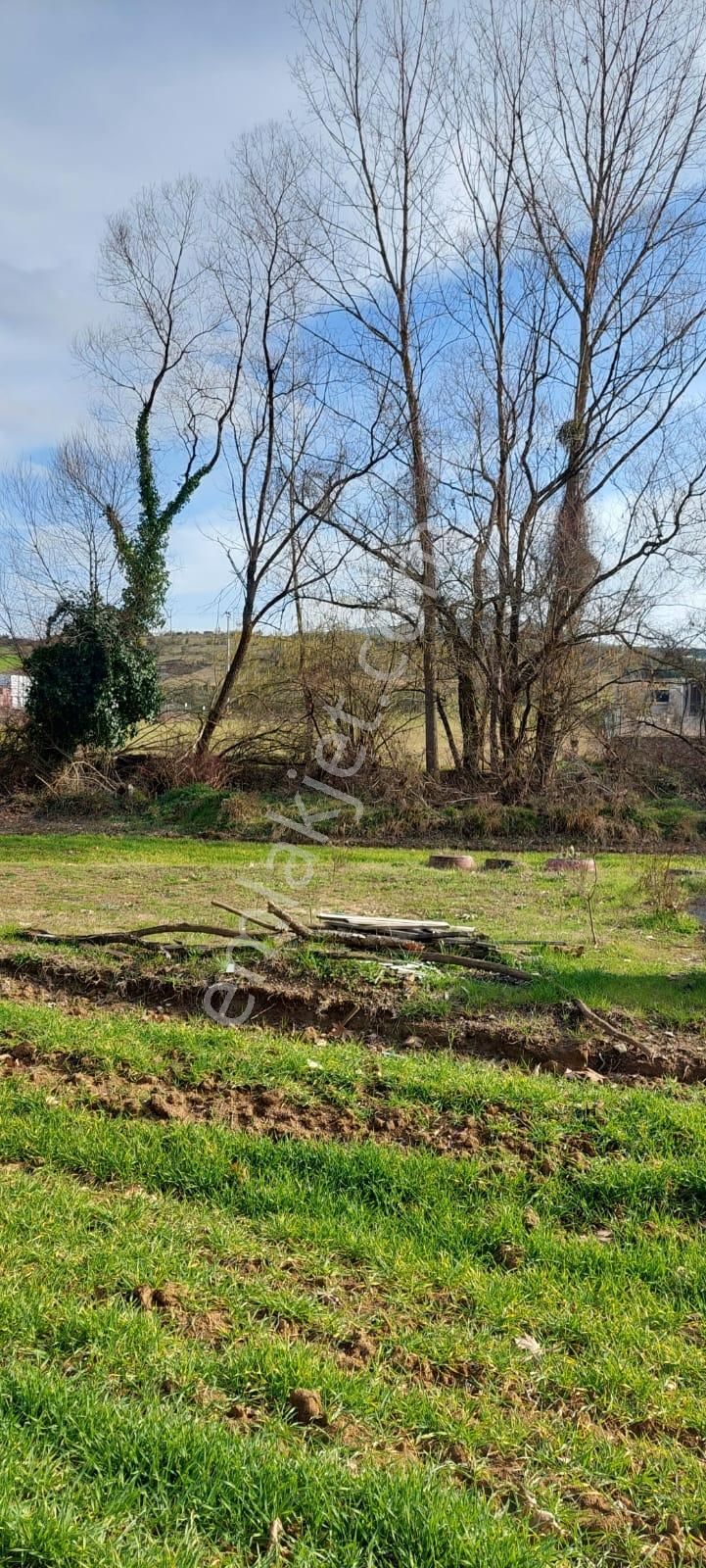 Kandıra Ömerli De Satılık Arsa - Görsel 6