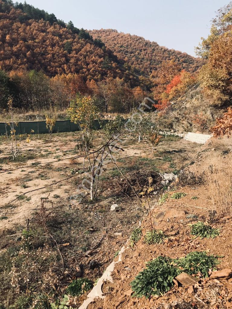 Bursa Keles Yolu Üzeri Seferışıklar'da Satılık Tarla - Görsel 17