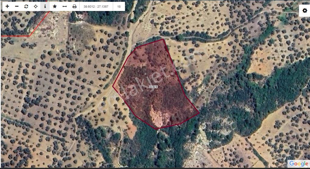 !!!fırsat Havran Fazlıcada Satılık 10.212 M2 Zeytinlik!!!! - Görsel 5