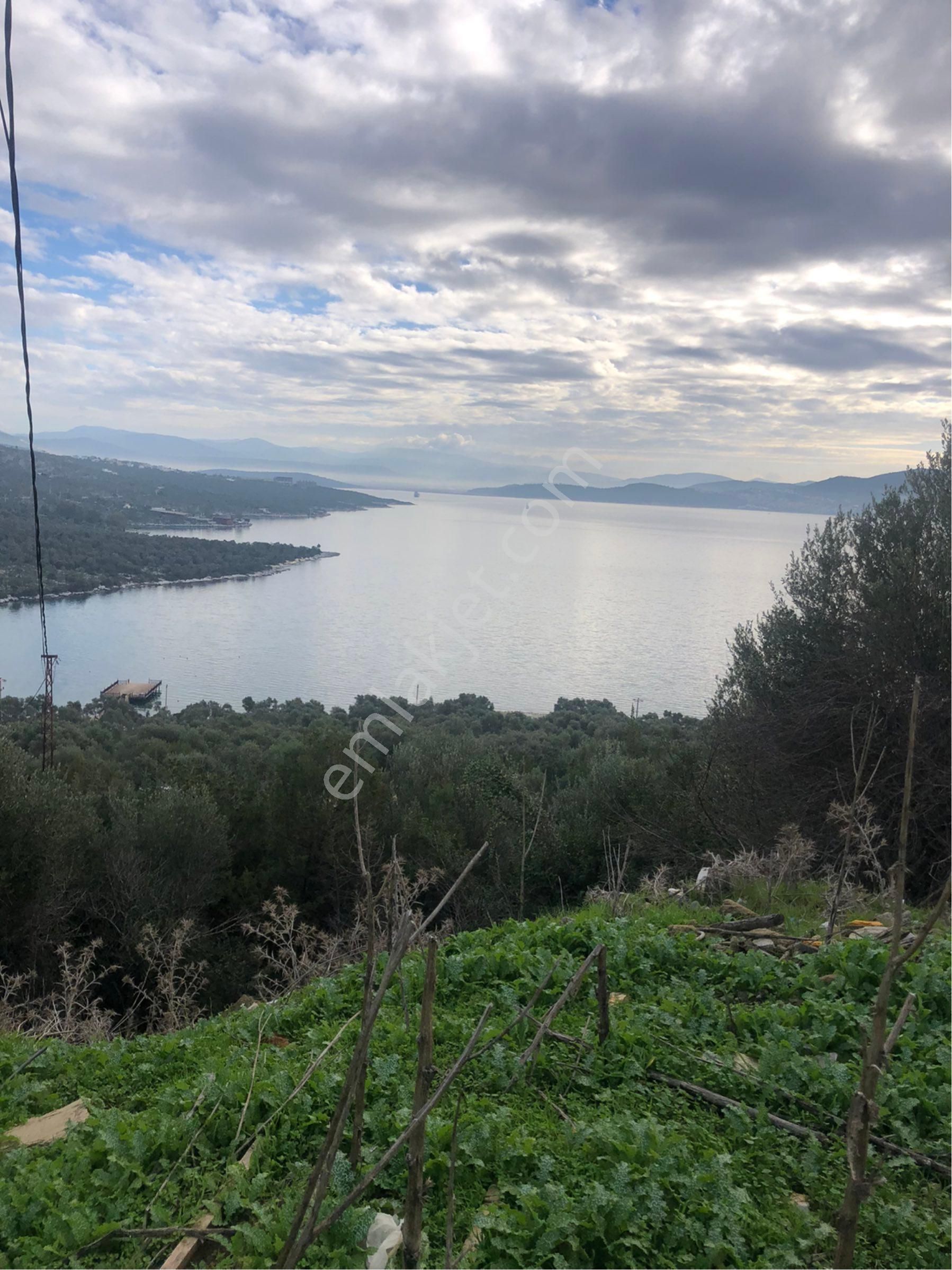 Yatırımlık İmarlı Arsa Hissesi