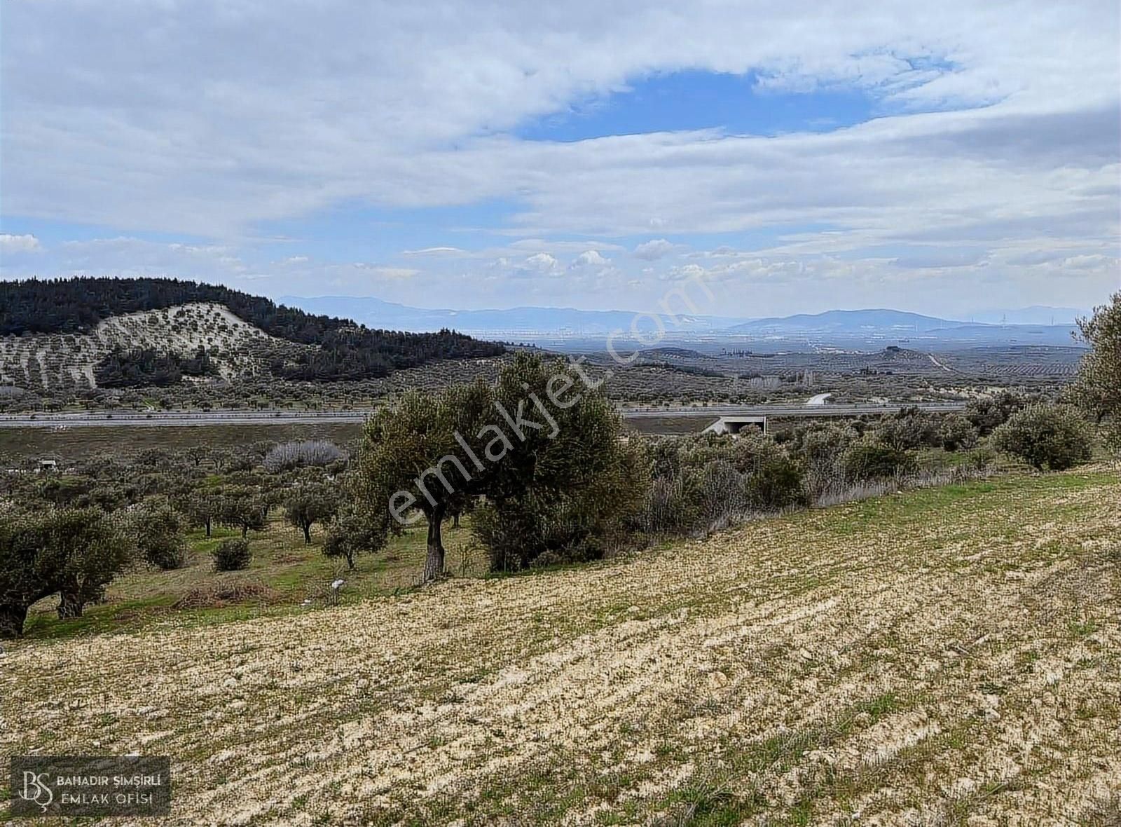 B.ş.den Yatağanda Asfalt Yola Cepheli 50950 M2 Satılık Zeytinlik - Görsel 10