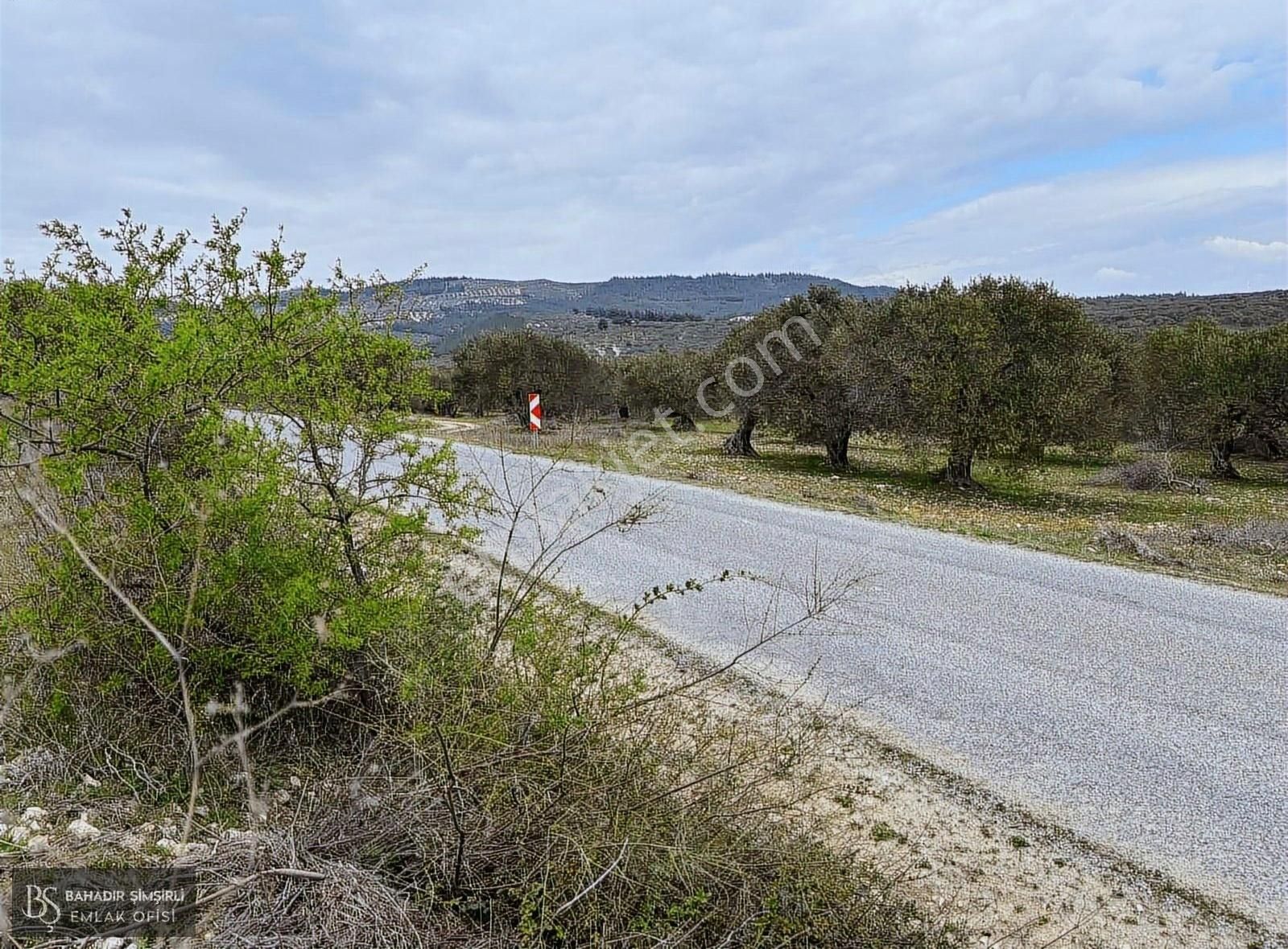 B.ş.den Yatağanda Asfalt Yola Cepheli 50950 M2 Satılık Zeytinlik - Görsel 25
